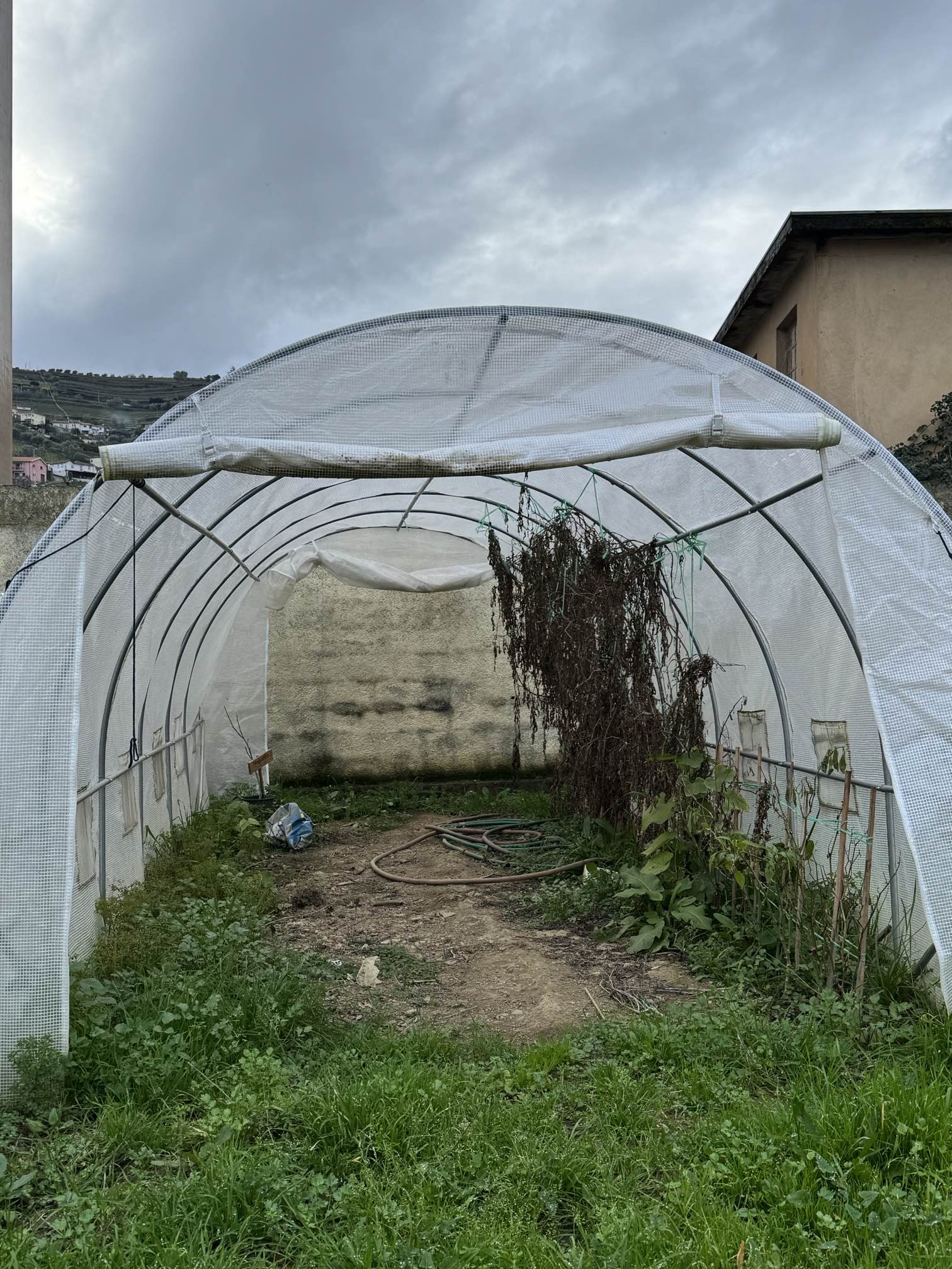 Estufa