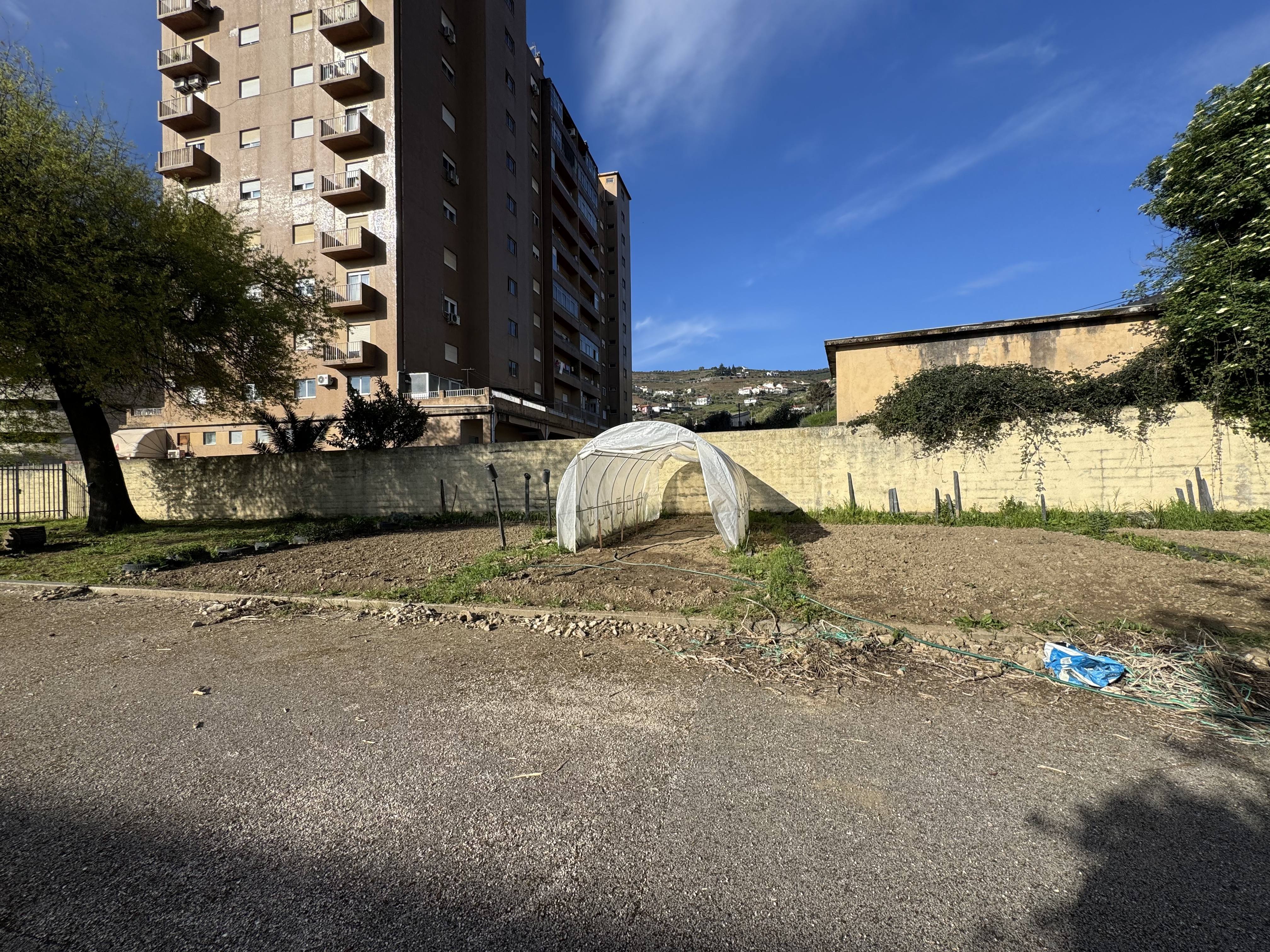 Vista geral da horta, após preparação do solo para o cultivo.