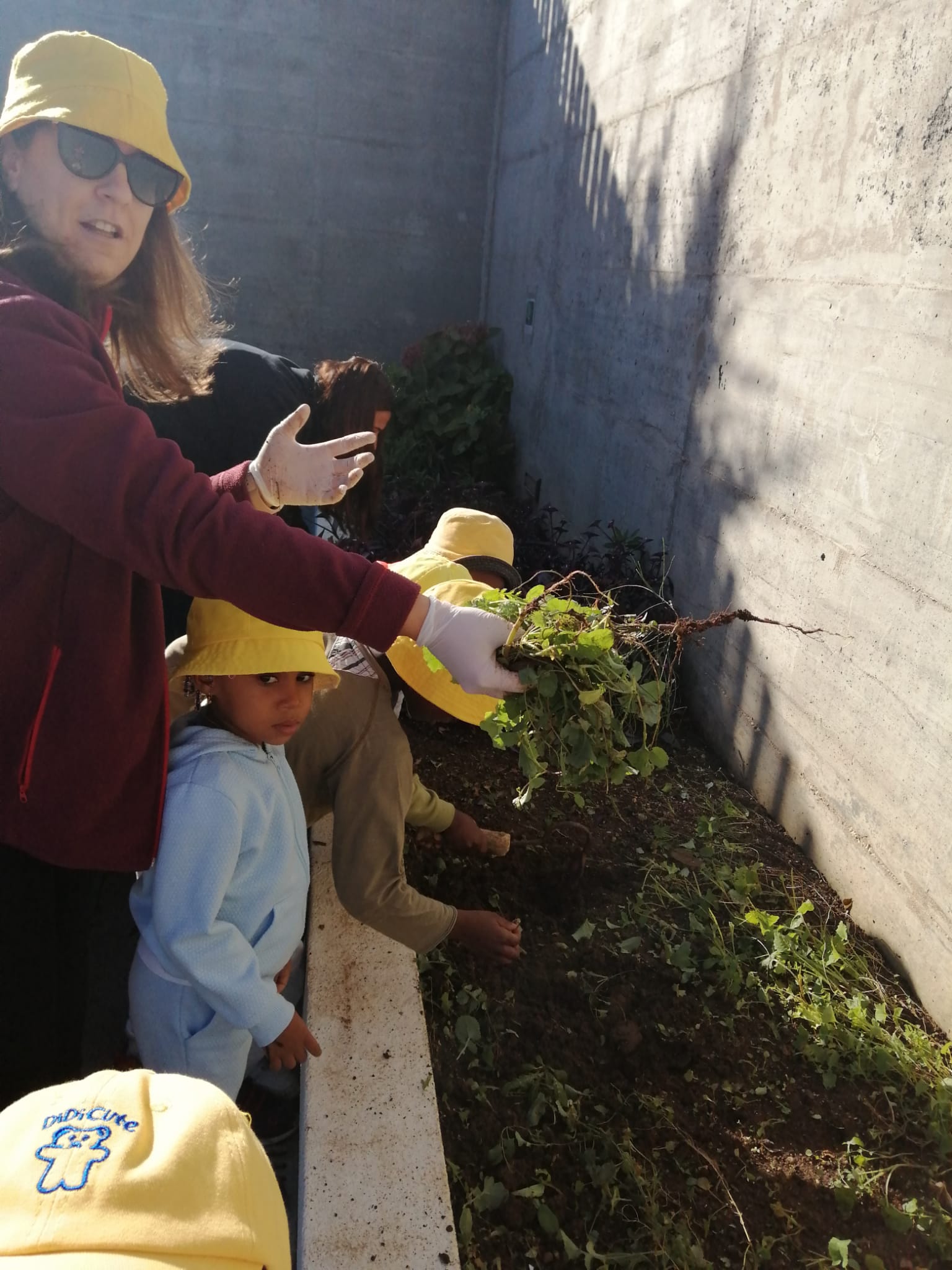 A preparar a terra, arrancando as ervas que cresceram durante o período de férias, para semear este ano letivo novos alimentos.