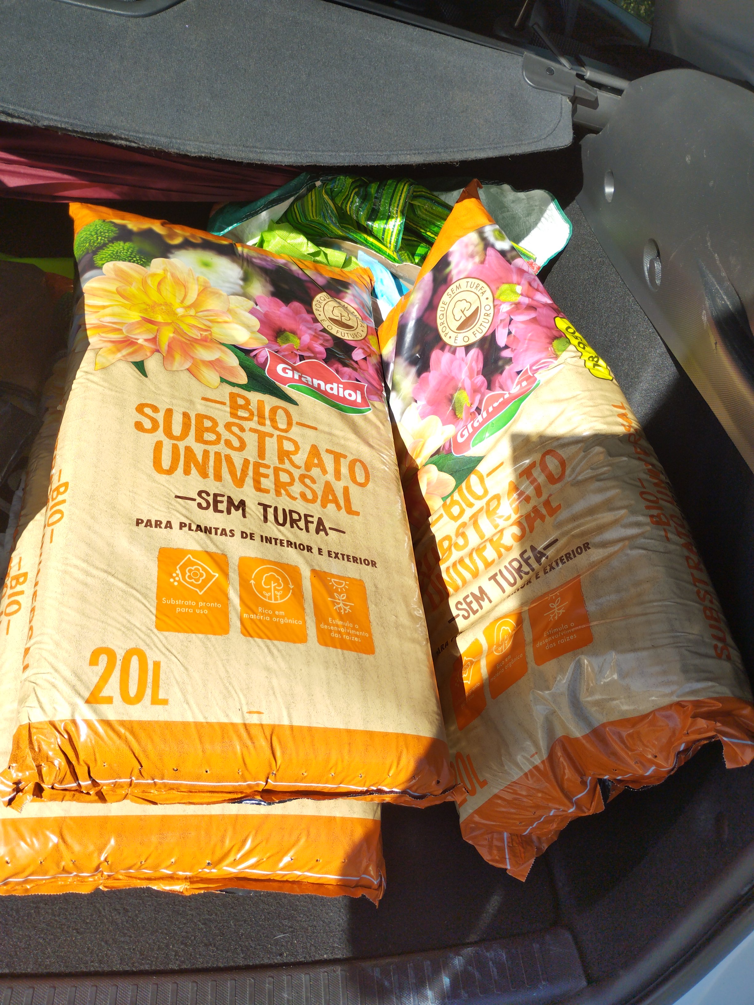 substrato