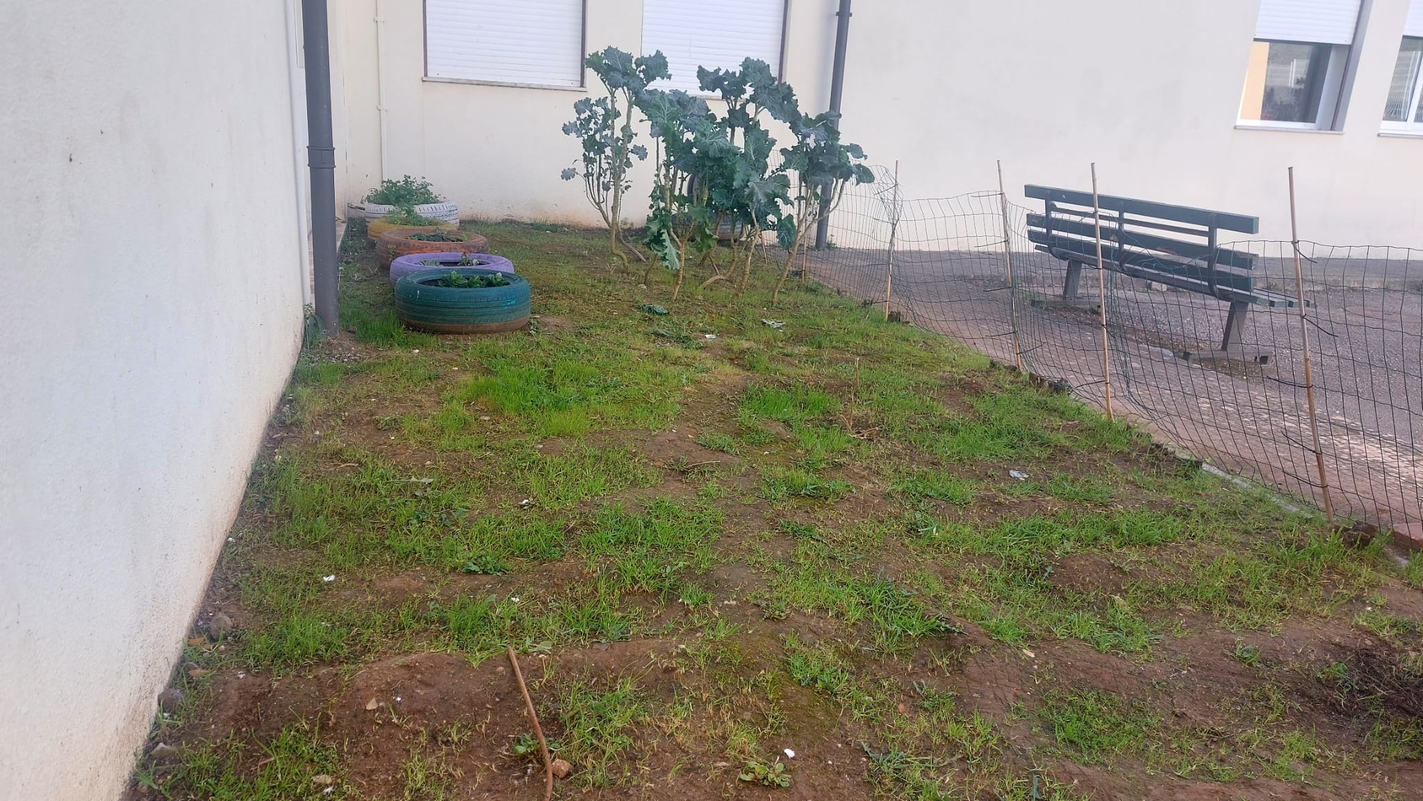 Vista mais aproximada da horta com cerca
