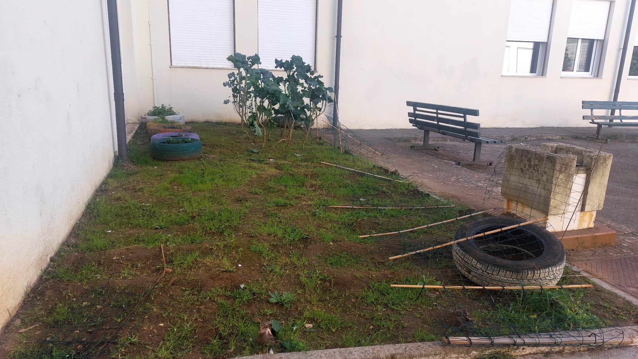 vista mais próxima da horta