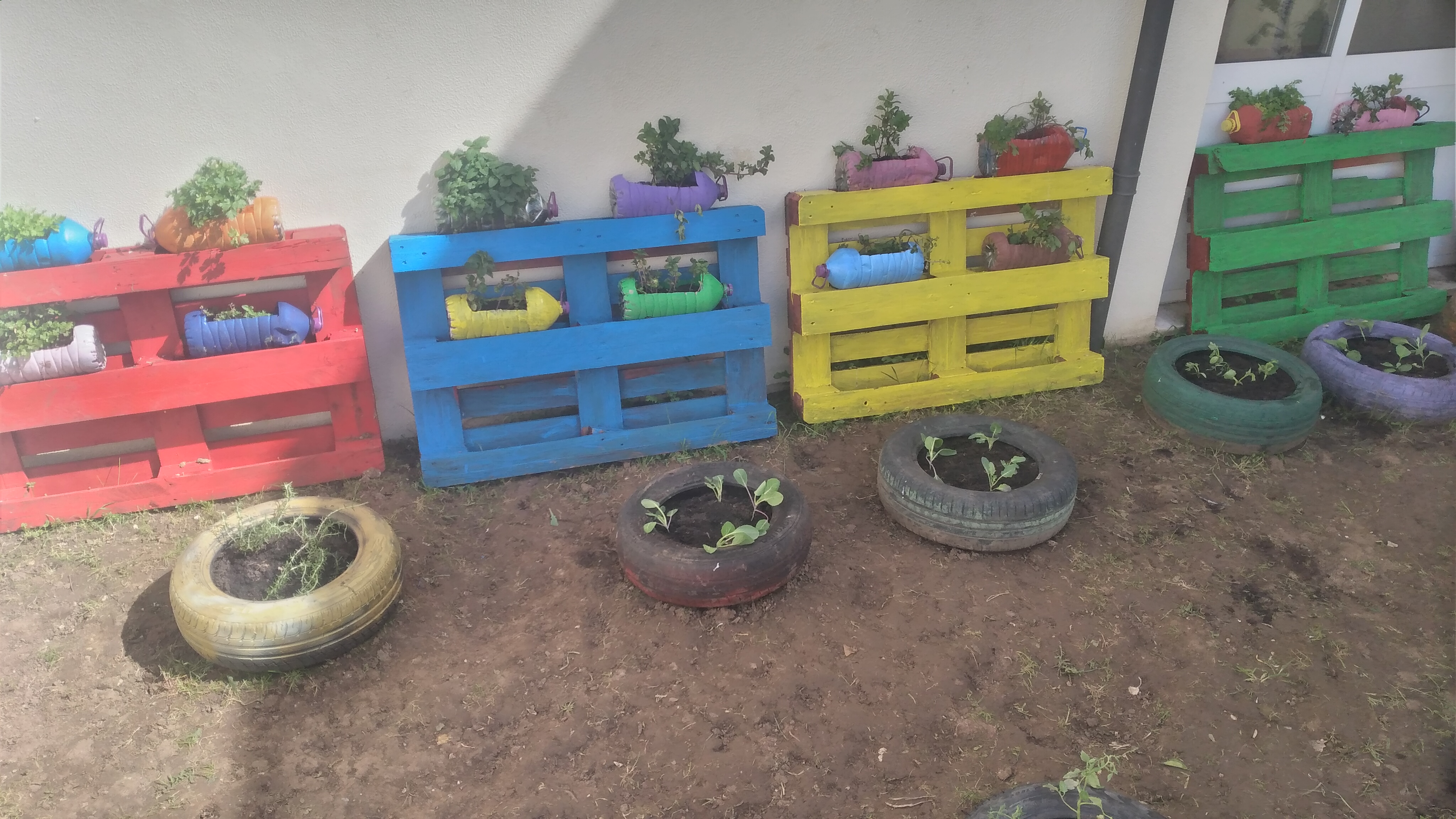 Horta de ervas aromáticas e produtos hortícolas_3