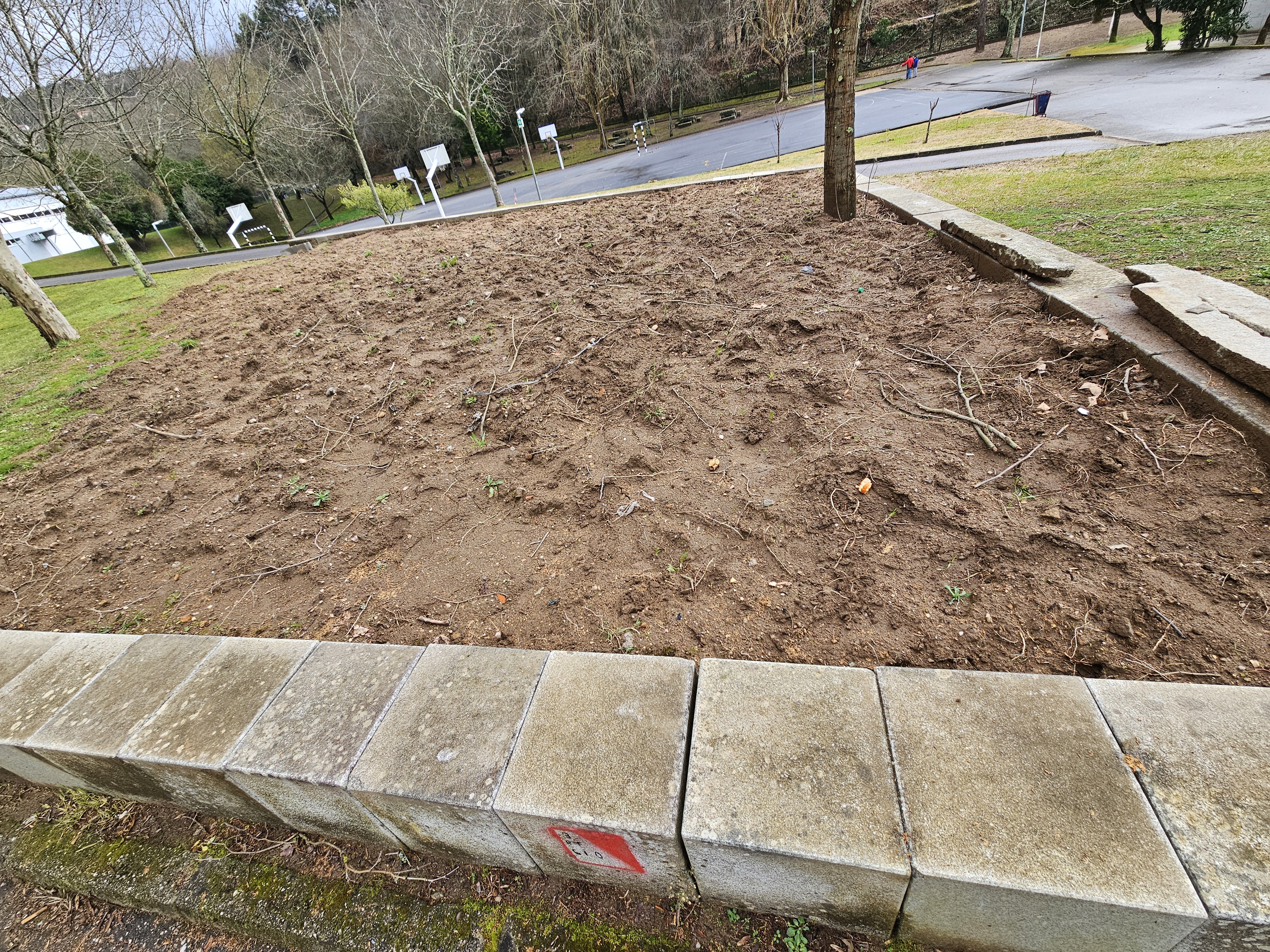 Preparação do terreno para o plantio da Horta BIO, envolvendo a remoção de ervas daninhas, a fertilização do solo com composto e a criação de condições ideais para um cultivo sustentável e produtivo