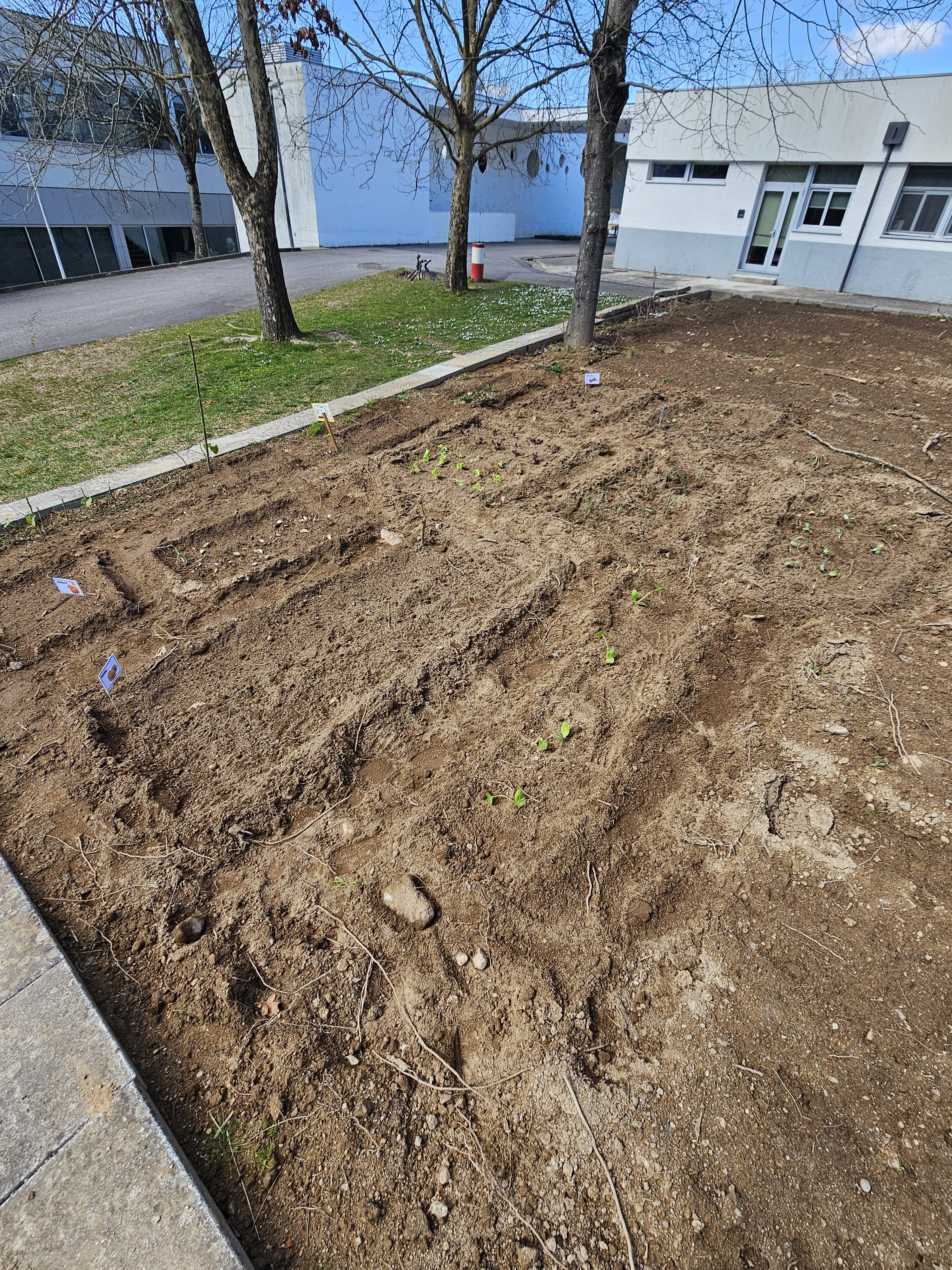 Vista geral do estado da horta em fevereiro, evidenciando o crescimento das culturas de inverno, a preparação do solo para novas plantações e a adaptação da vegetação às condições climáticas da estação.