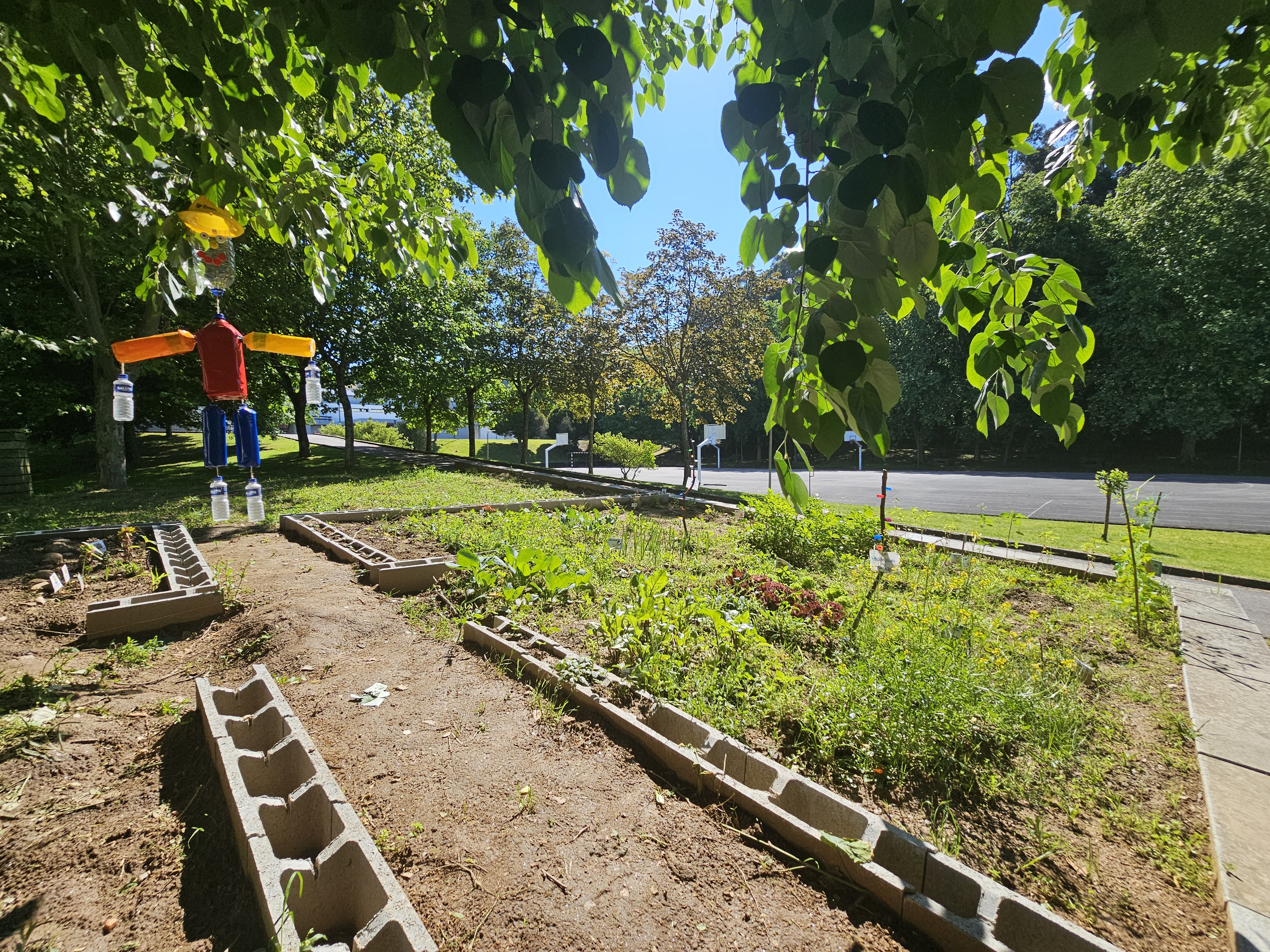 Vista geral do estado da horta em abril, destacando o crescimento vigoroso das culturas de primavera, refletindo o equilíbrio ecológico e a renovação do espaço.