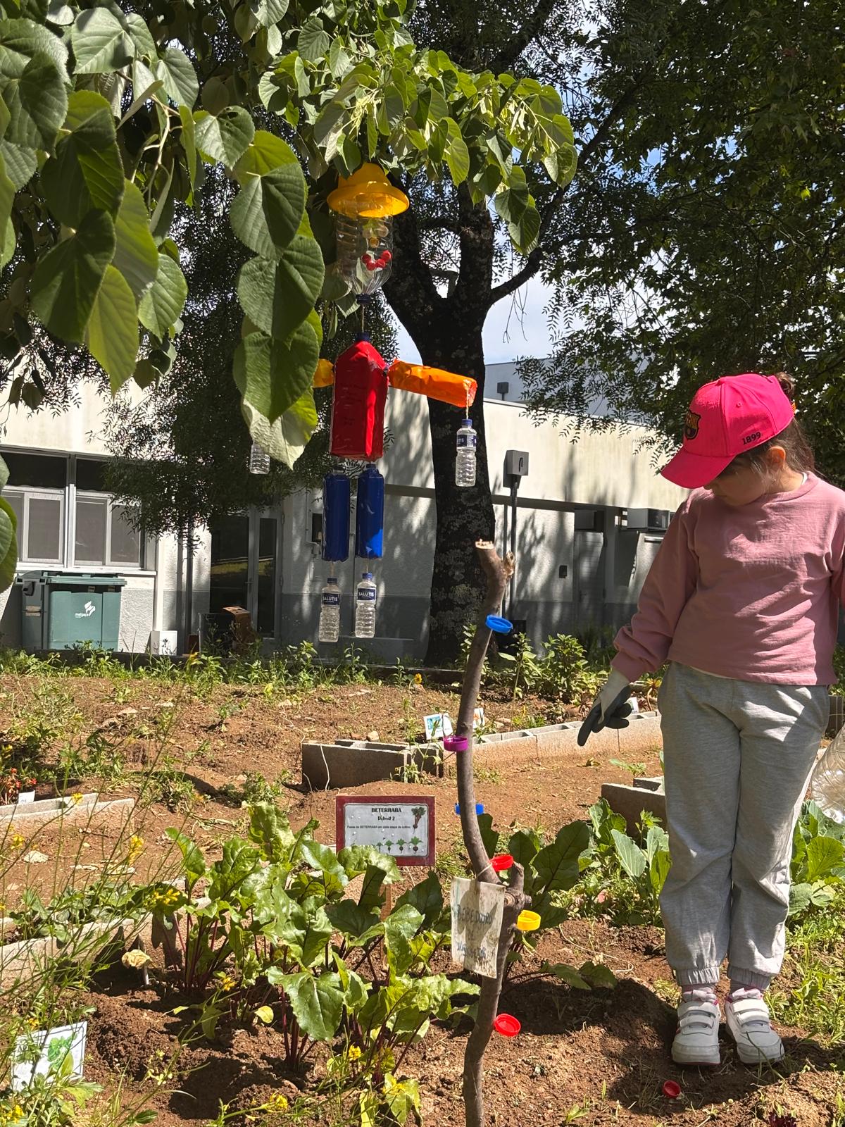 Instalação de bebedouros para insetos polinizadores e de um espantalho artesanal, elementos essenciais da Horta Jardim BIO, contribuindo para a preservação da biodiversidade e a proteção das culturas.
