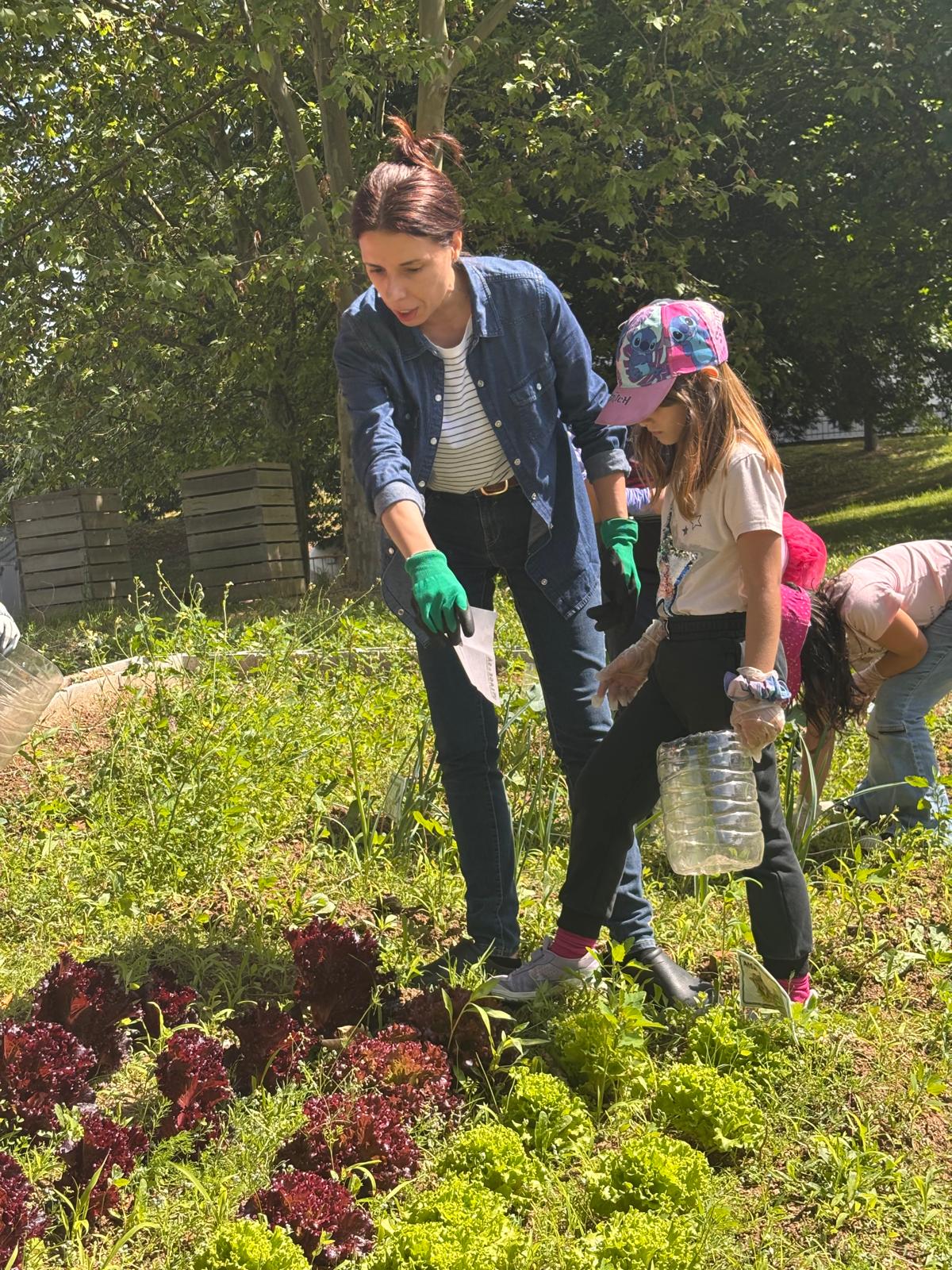Participação ativa dos alunos na limpeza da Horta BIO, removendo ervas daninhas para preservar o equilíbrio ecológico e garantir condições ideais para o crescimento saudável das plantas.