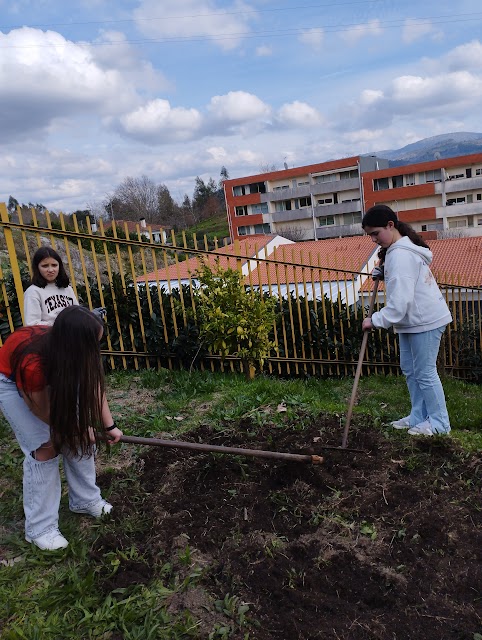 Preparação do terreno para a nossa horta biológica.