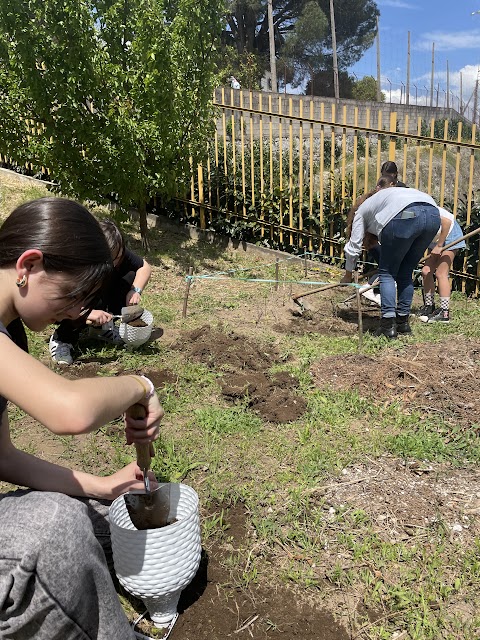 Hoje foi o dia da plantação de morangueiro!