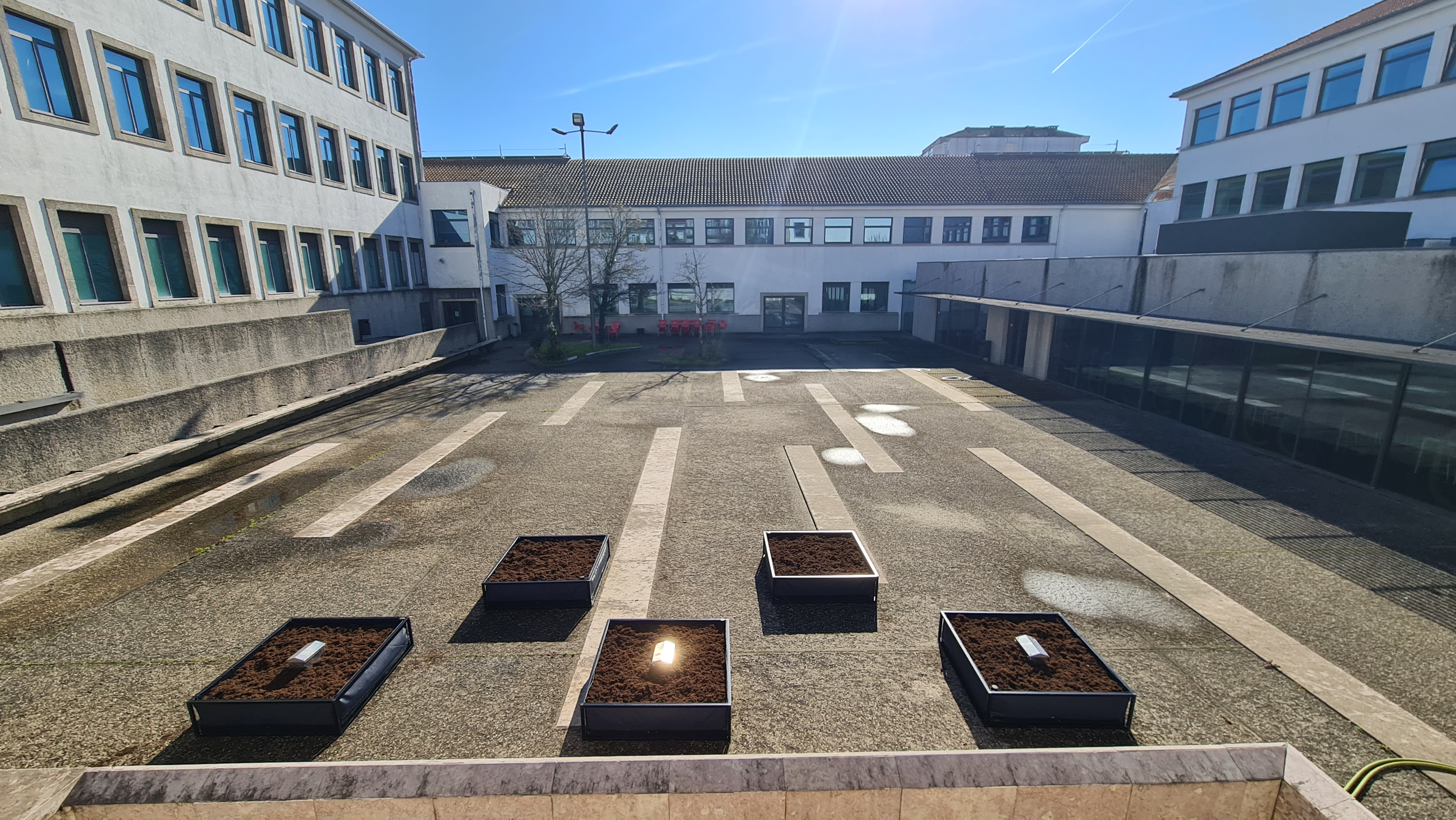 Perspetiva geral das hortas no pátio da Escola