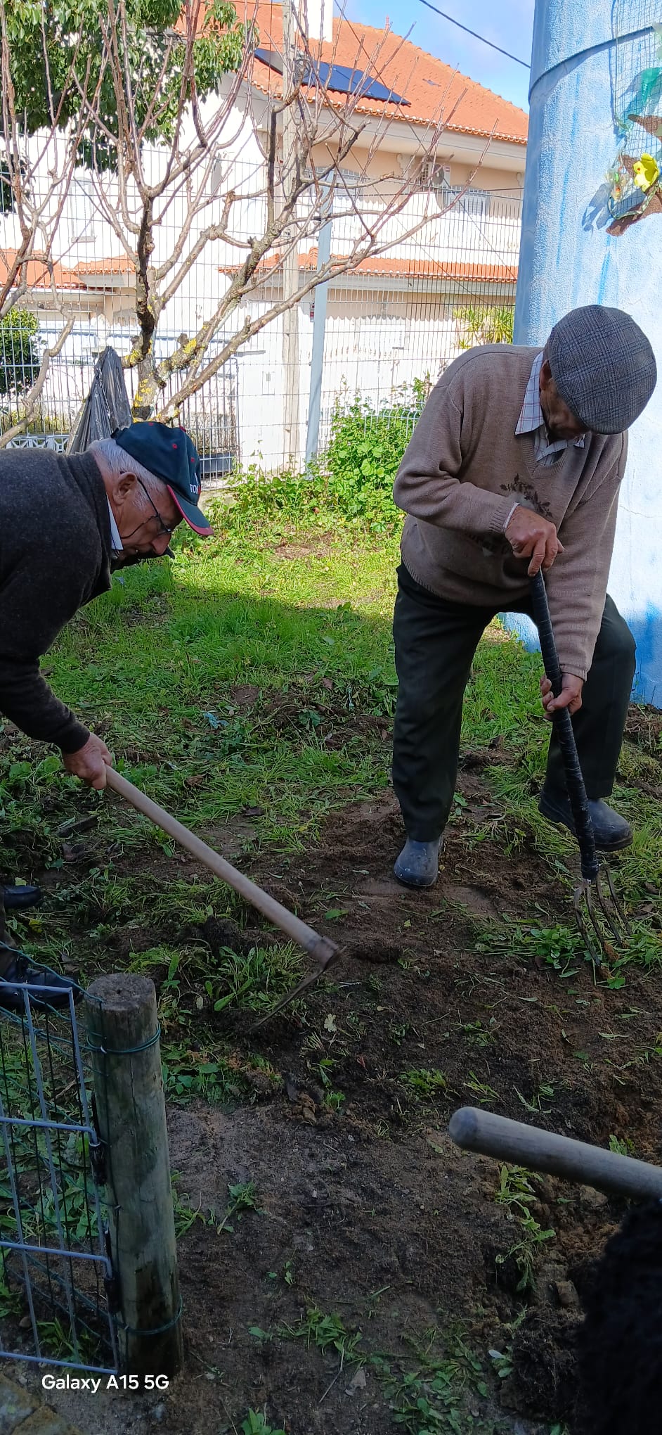 Preparação do espaço da horta com a ajuda dos idosos do Centro Comunitário da Quinta do Conde