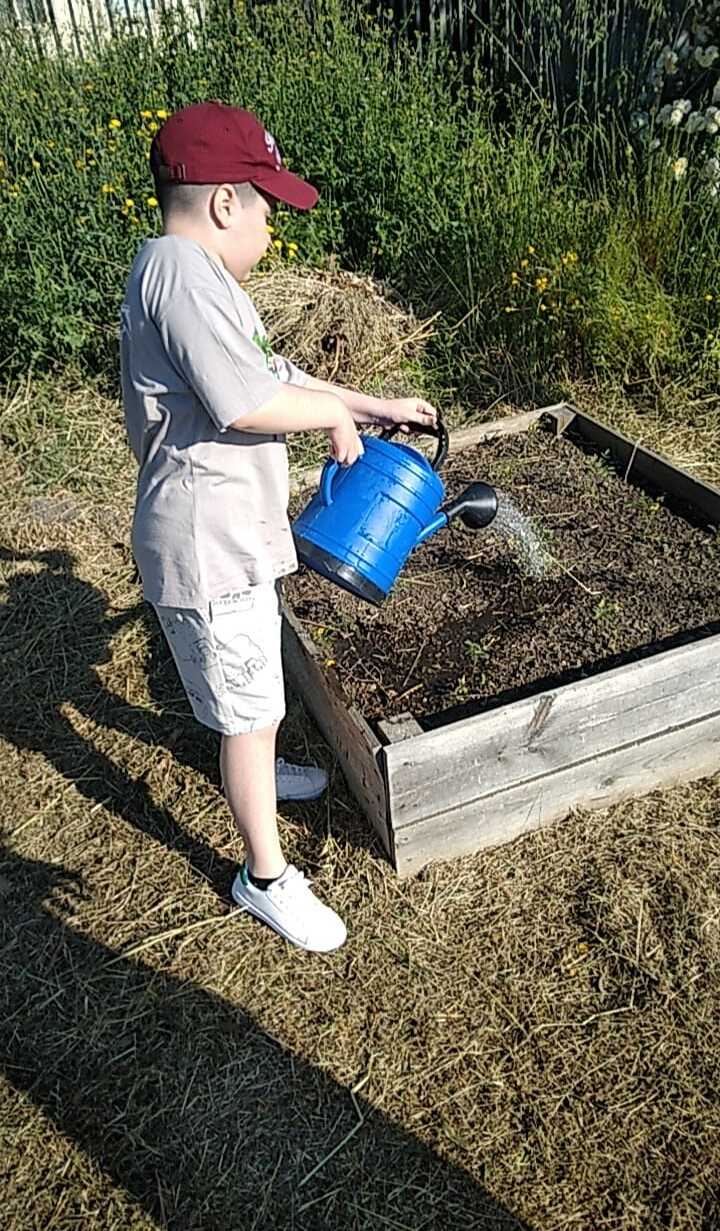 A cultivar o futuro com consciência, tomates cherry biológicos, semeados com amor e respeito pela Terra.