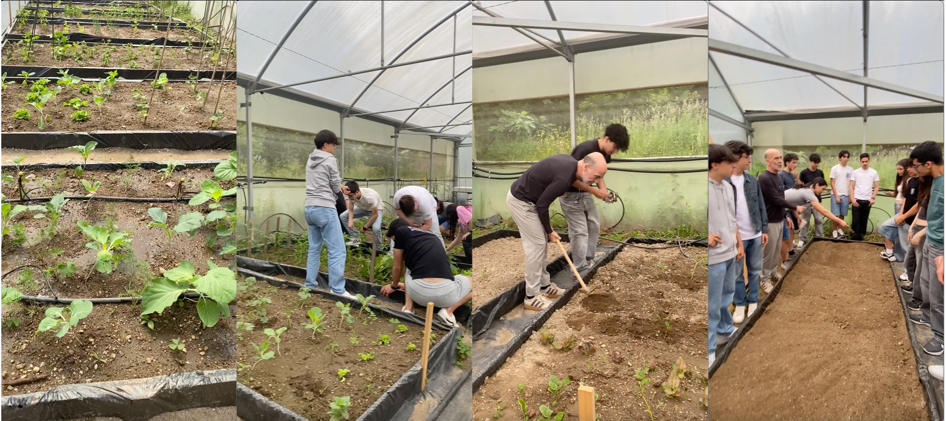 Alunos realizando o plantio e a manutenção da horta.