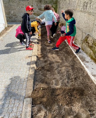Preparação do terreno.