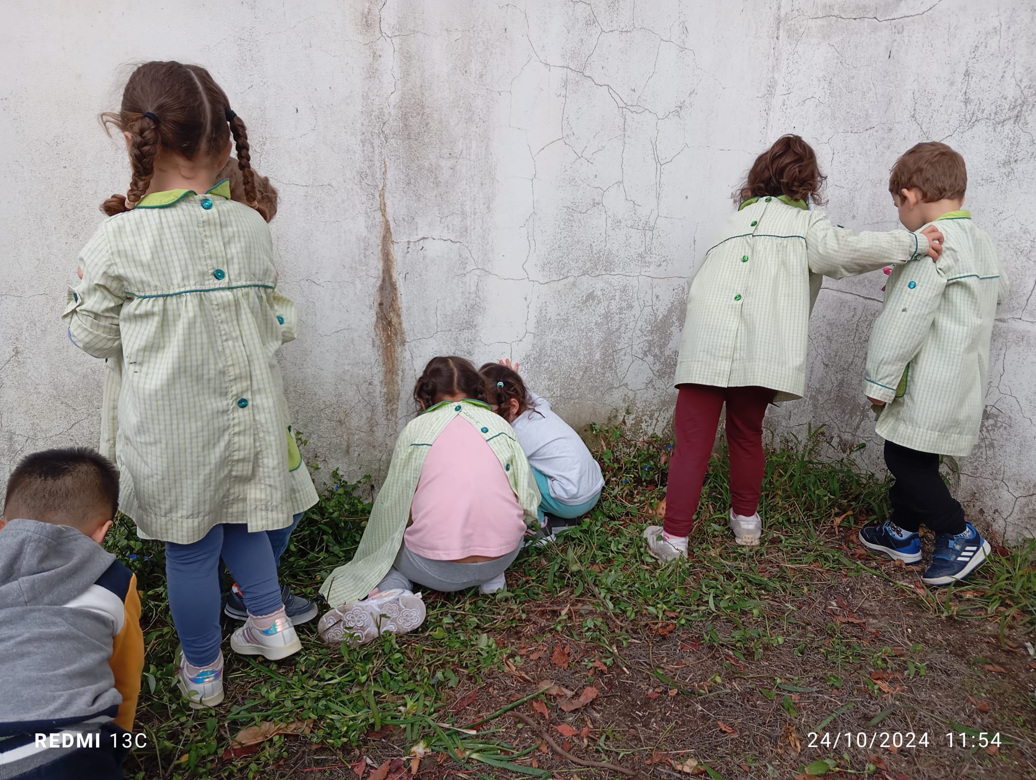 Limpar a horta
