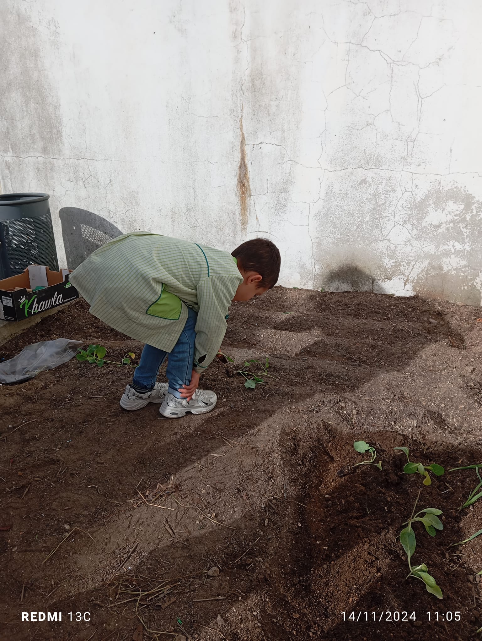 Plantar e semear