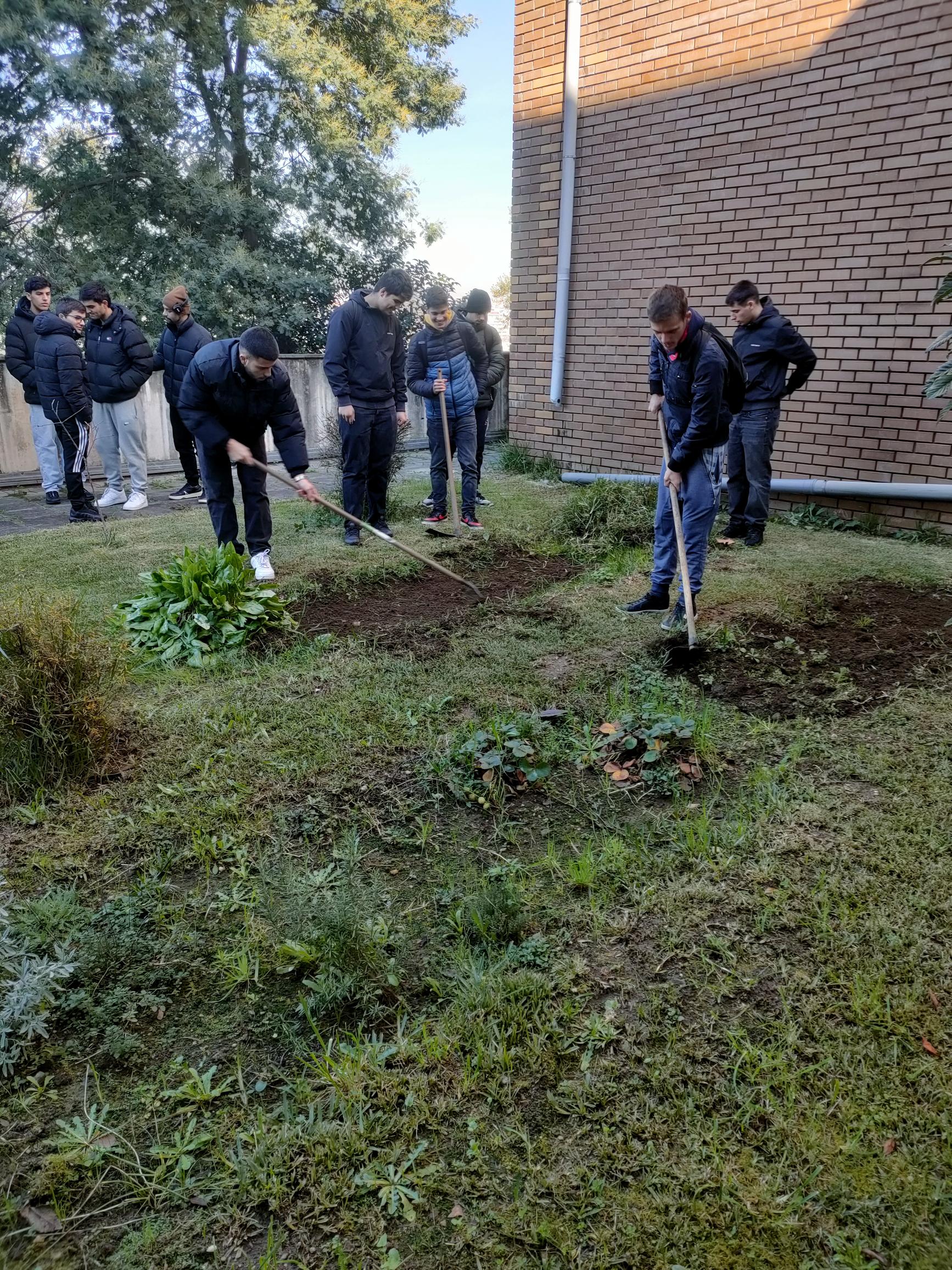 Preparação do terreno