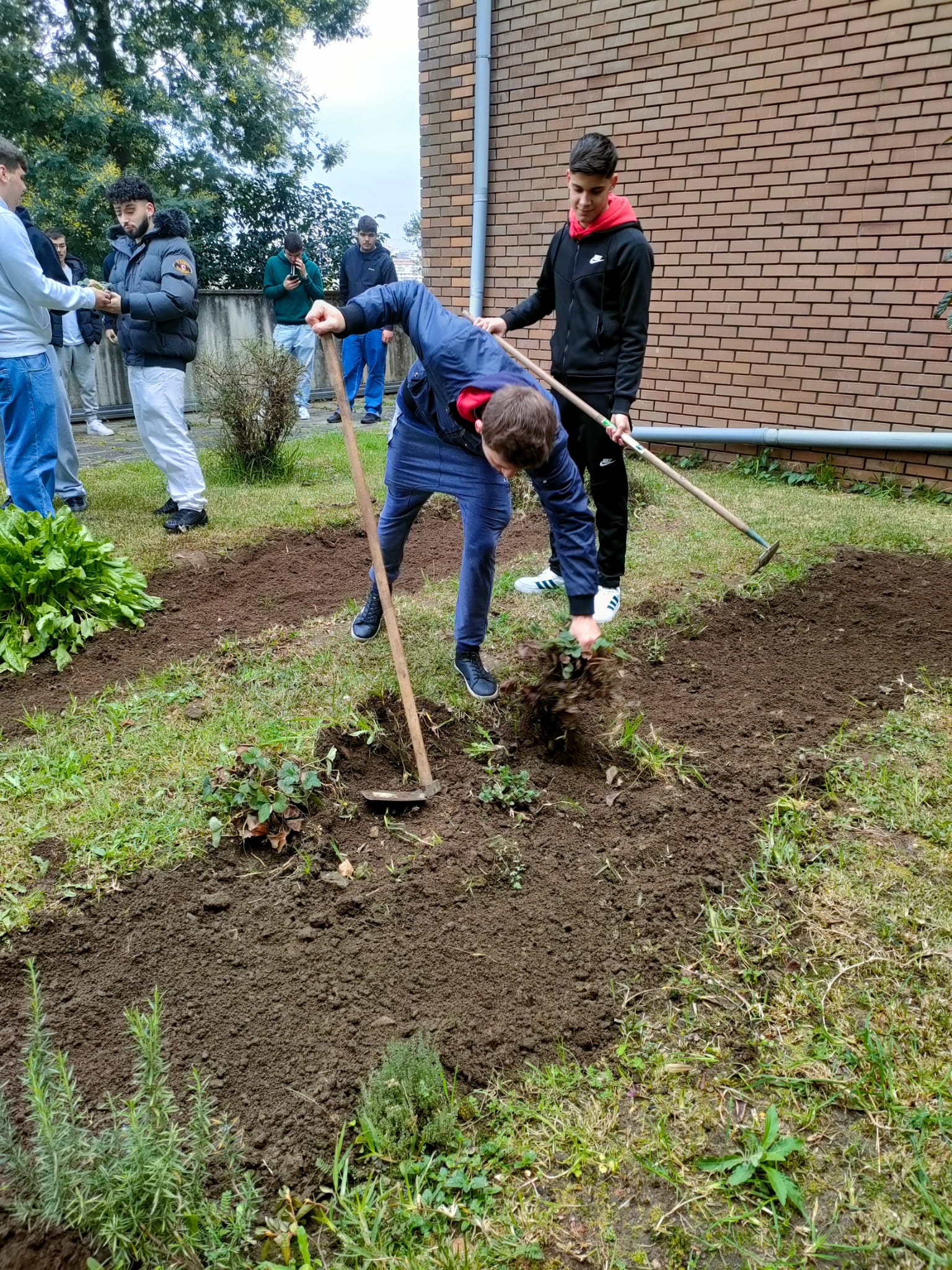 Plantação