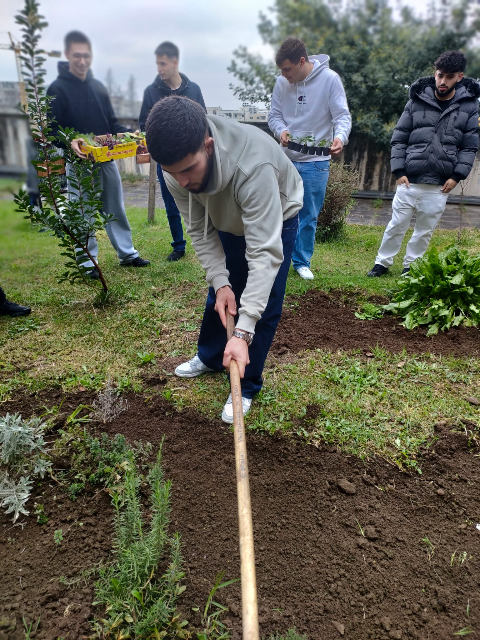 Troca de ideias para a plantação