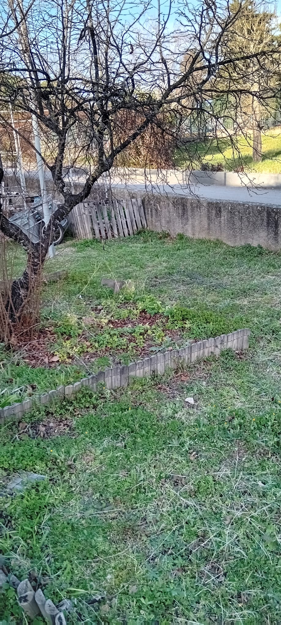 Localização da horta bio