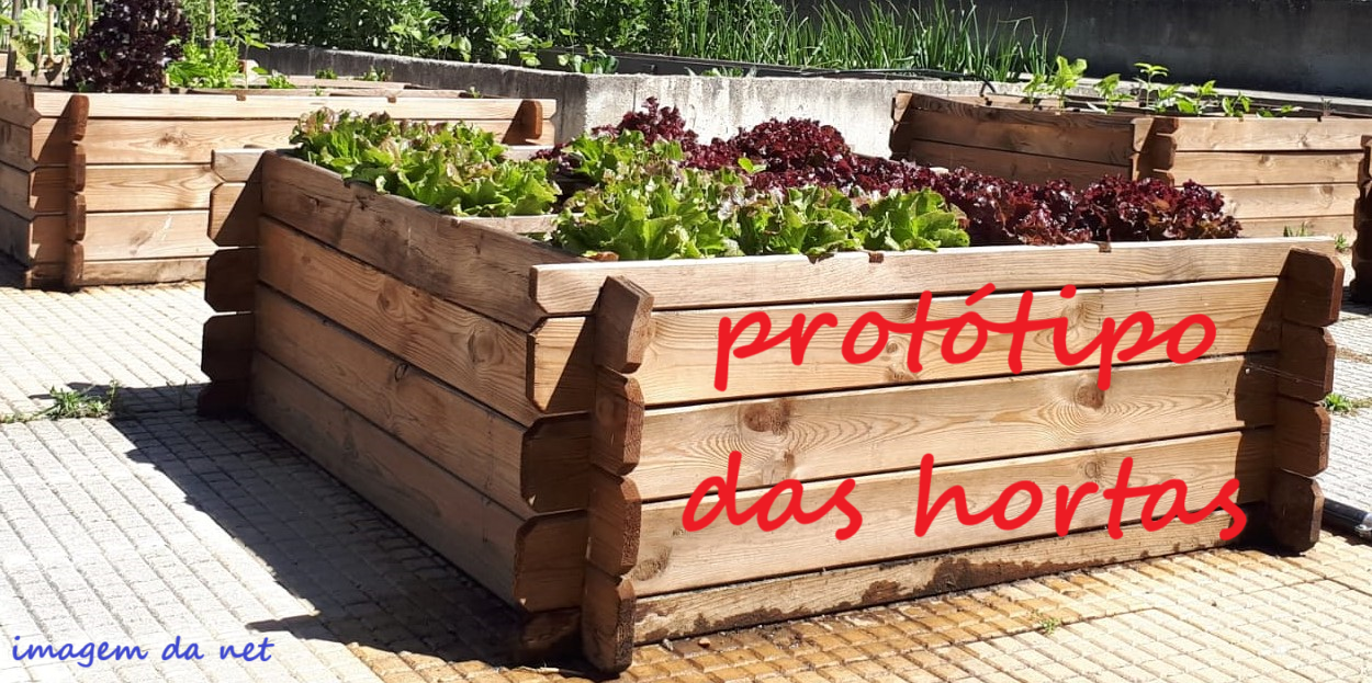 Projeto das hortas bio usando paletes de madeira.