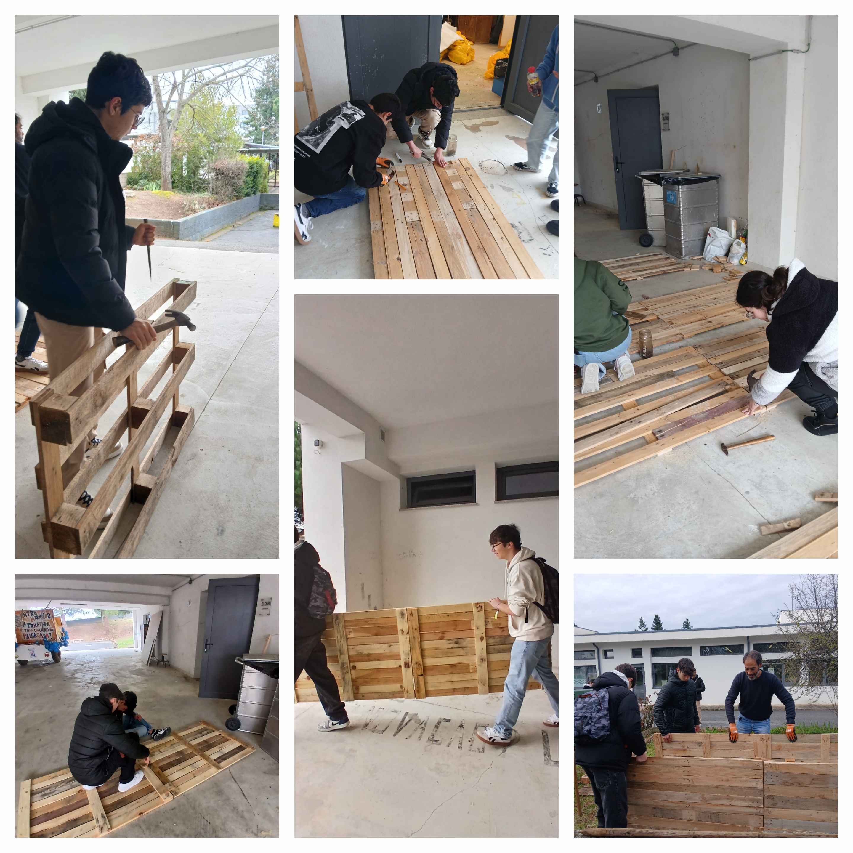 Fase de Construção hortas