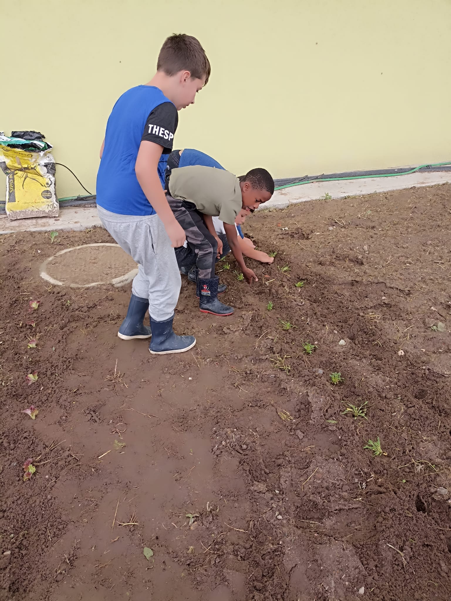 Arranjos e plantações