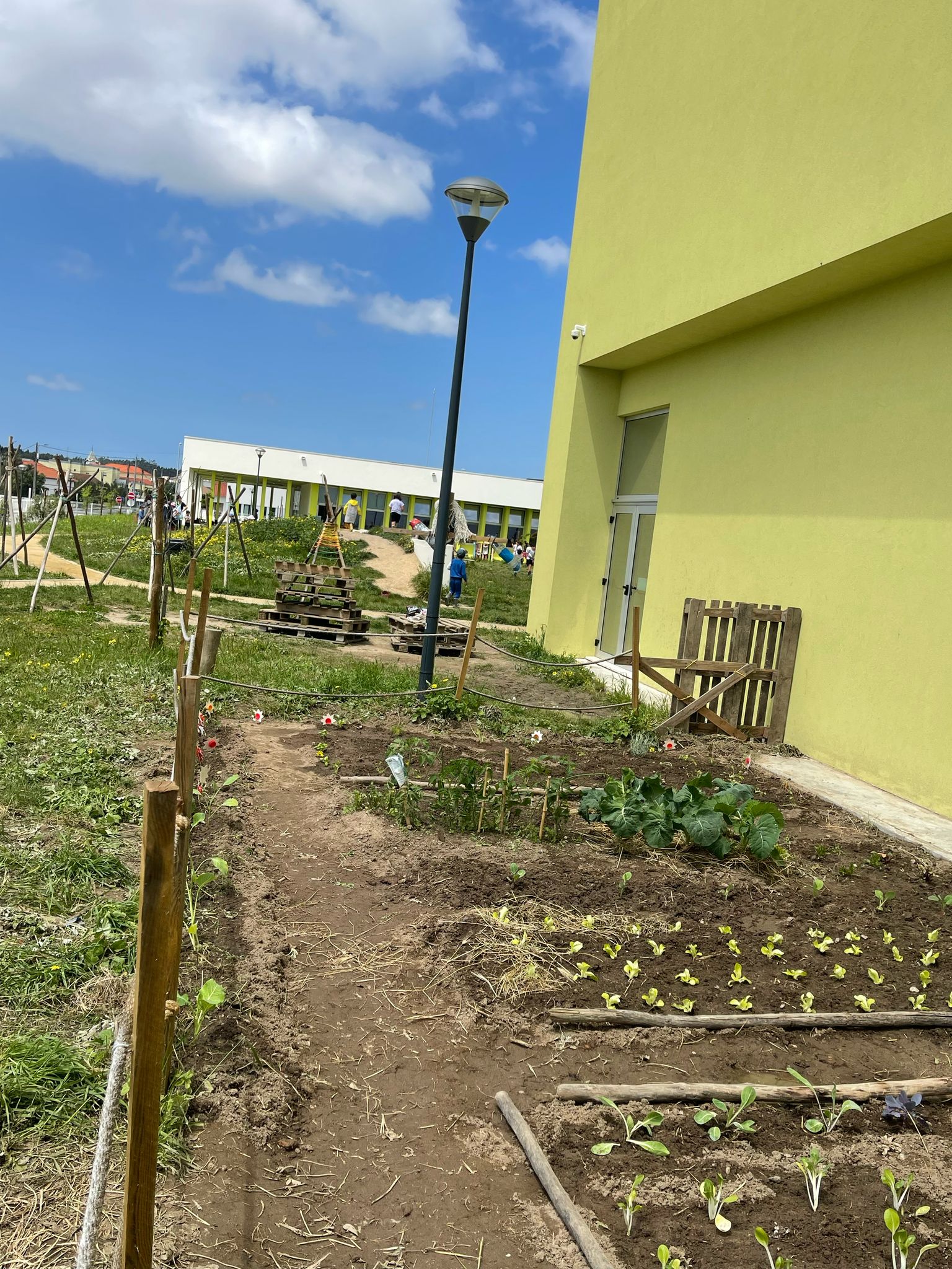 Manutenção das plantas a nascer e dos espaços hortícolas