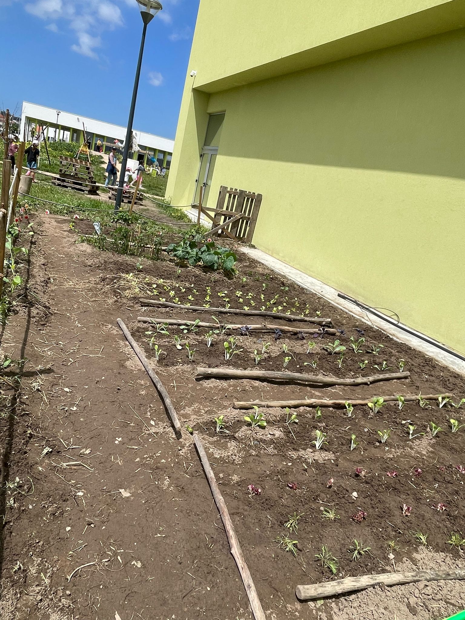 Manutenção das plantas a nascer e dos espaços hortícolas