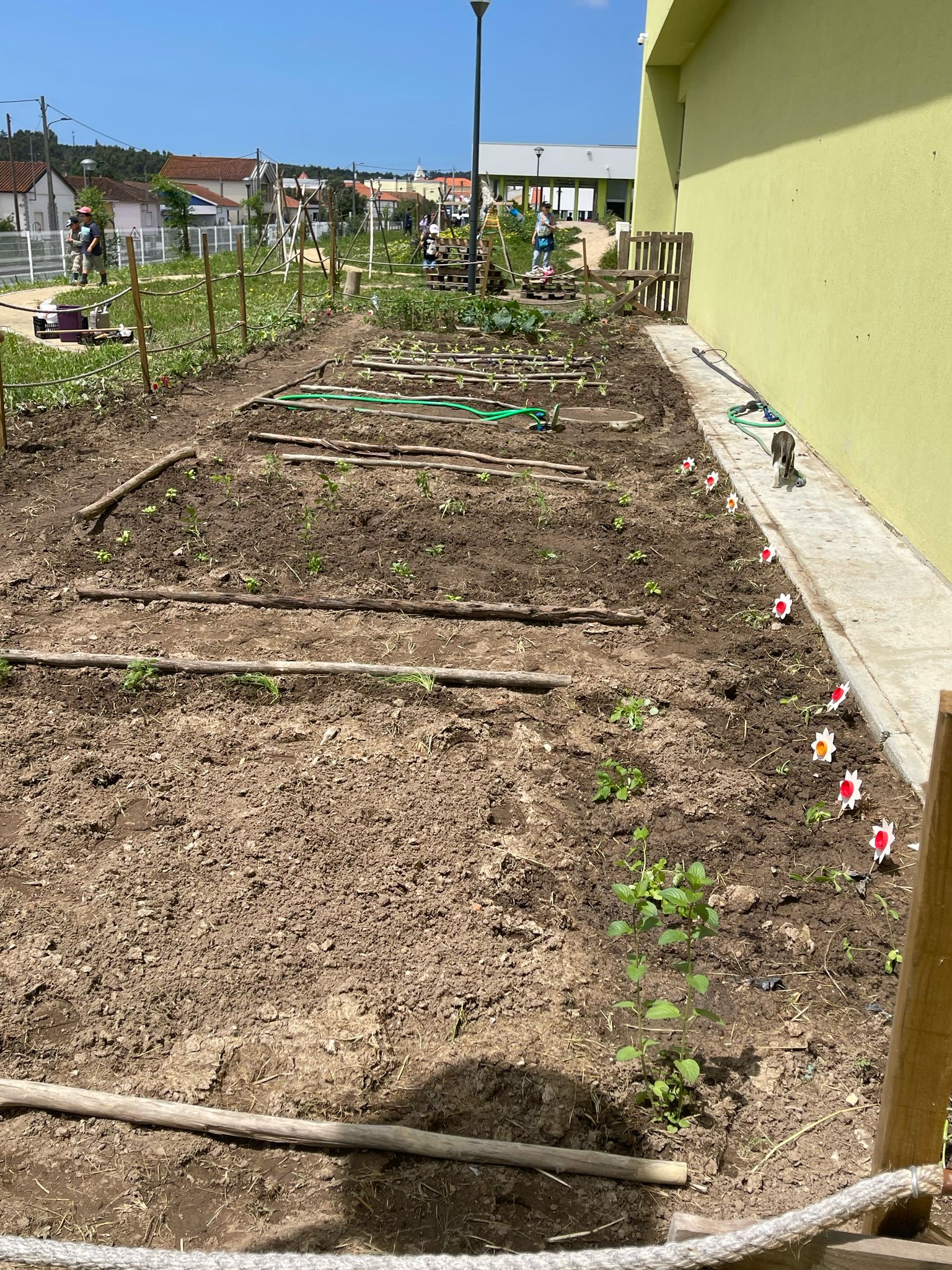 Manutenção das plantas a nascer e dos espaços hortícolas