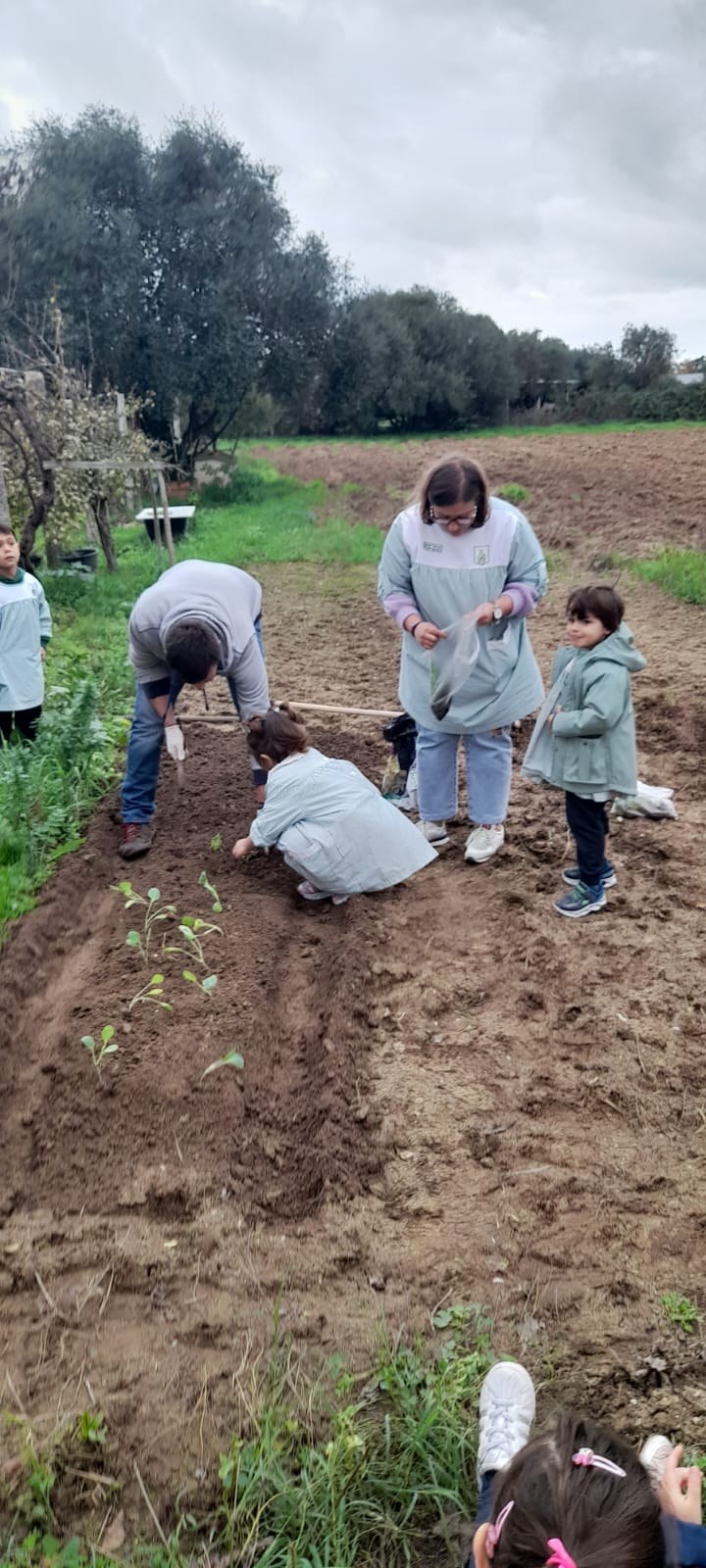 Construcao e organização da horta da quinta do pio com ajuda dos familiares das nossas crianças.
