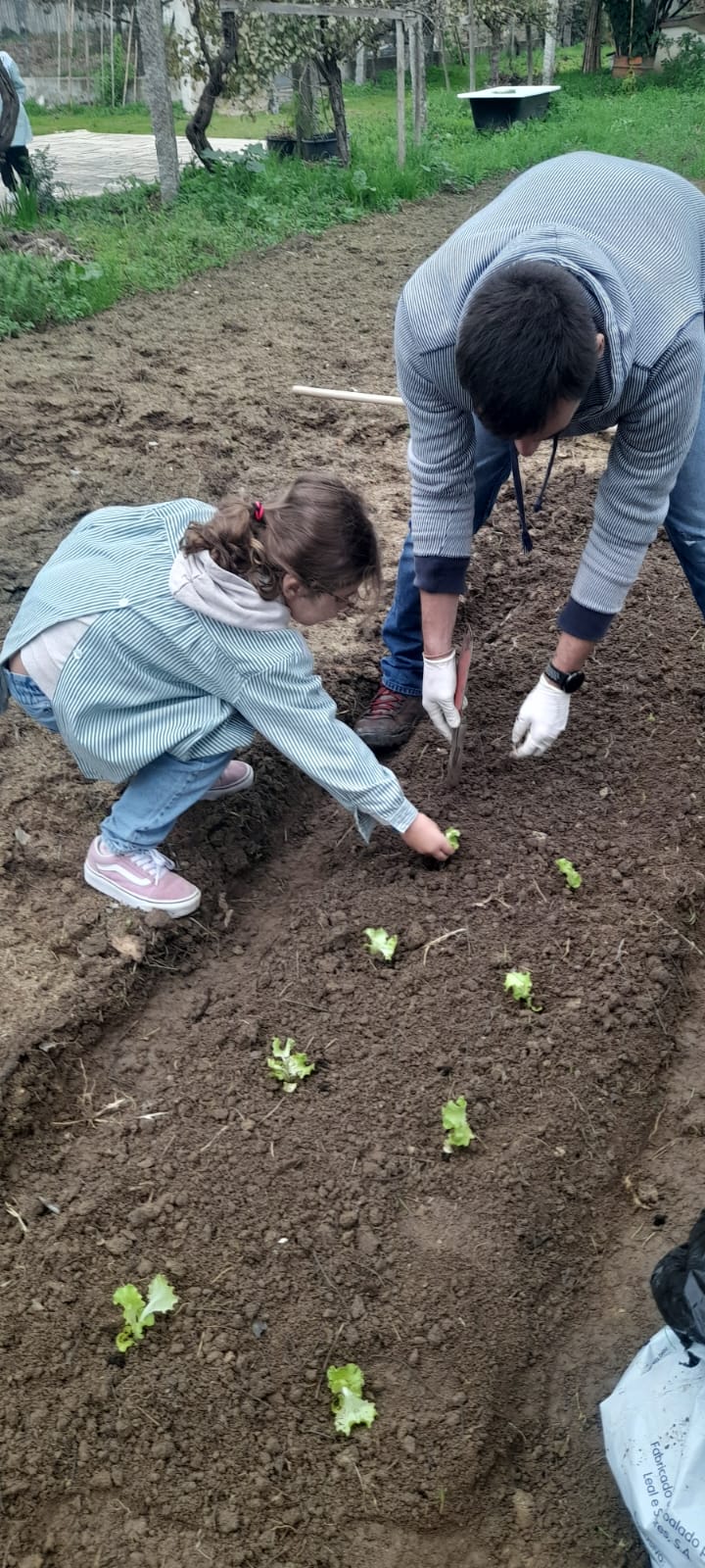 Plantação das alfaces com ajuda de um familiar, cooperação entre colégio e famílias na construção da nossa horta.