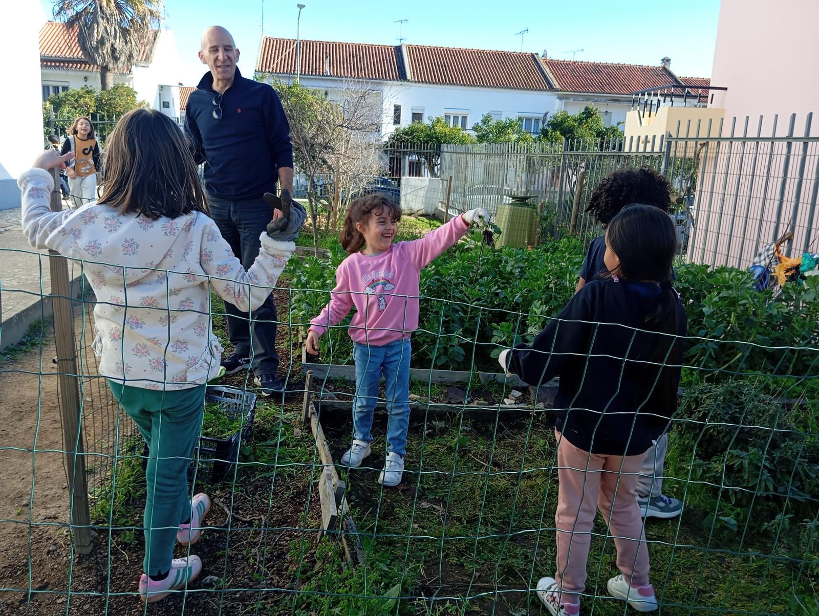 Rega de favas e preparação do terreno.
