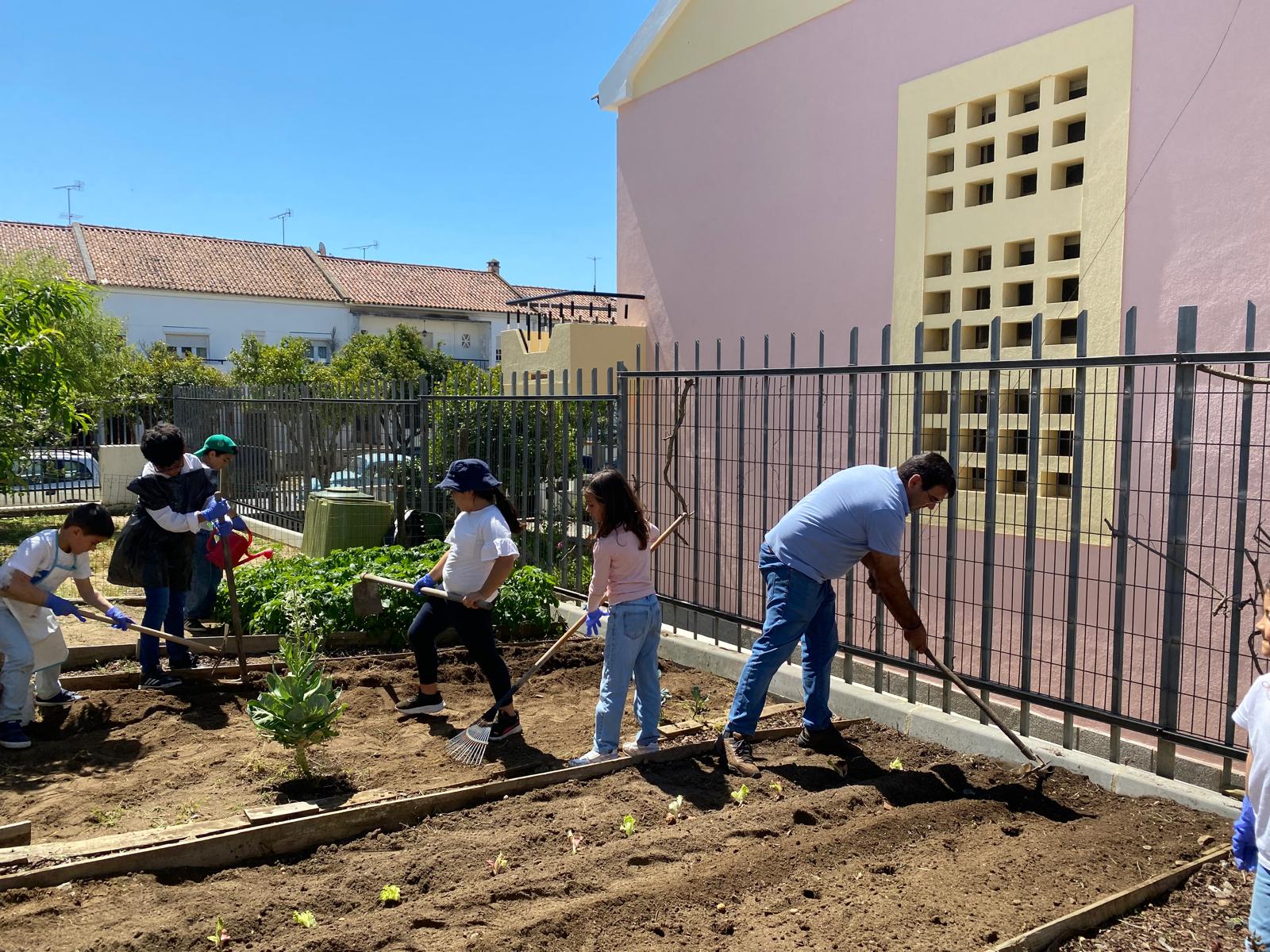 Plantação de alfaces: professores, encarregados de educação e alunos.