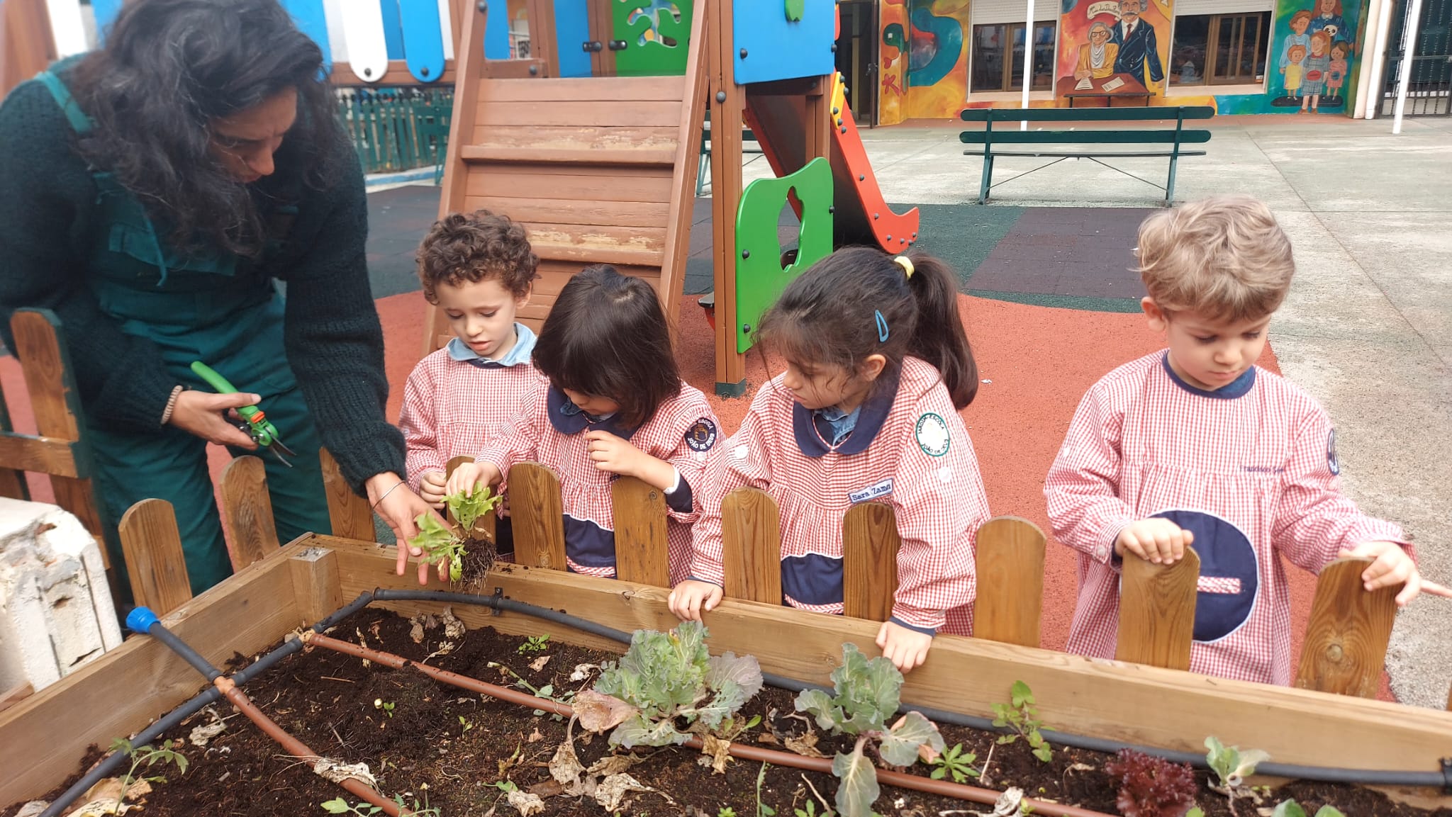 Limpeza da horta e semeio de elementos de primavera