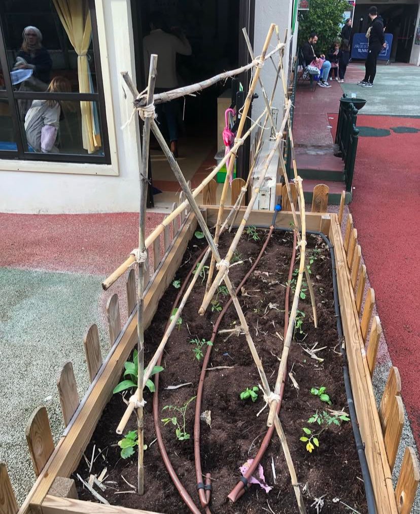 Limpeza da horta e semeio de elementos de primavera -  Horta Finalizada