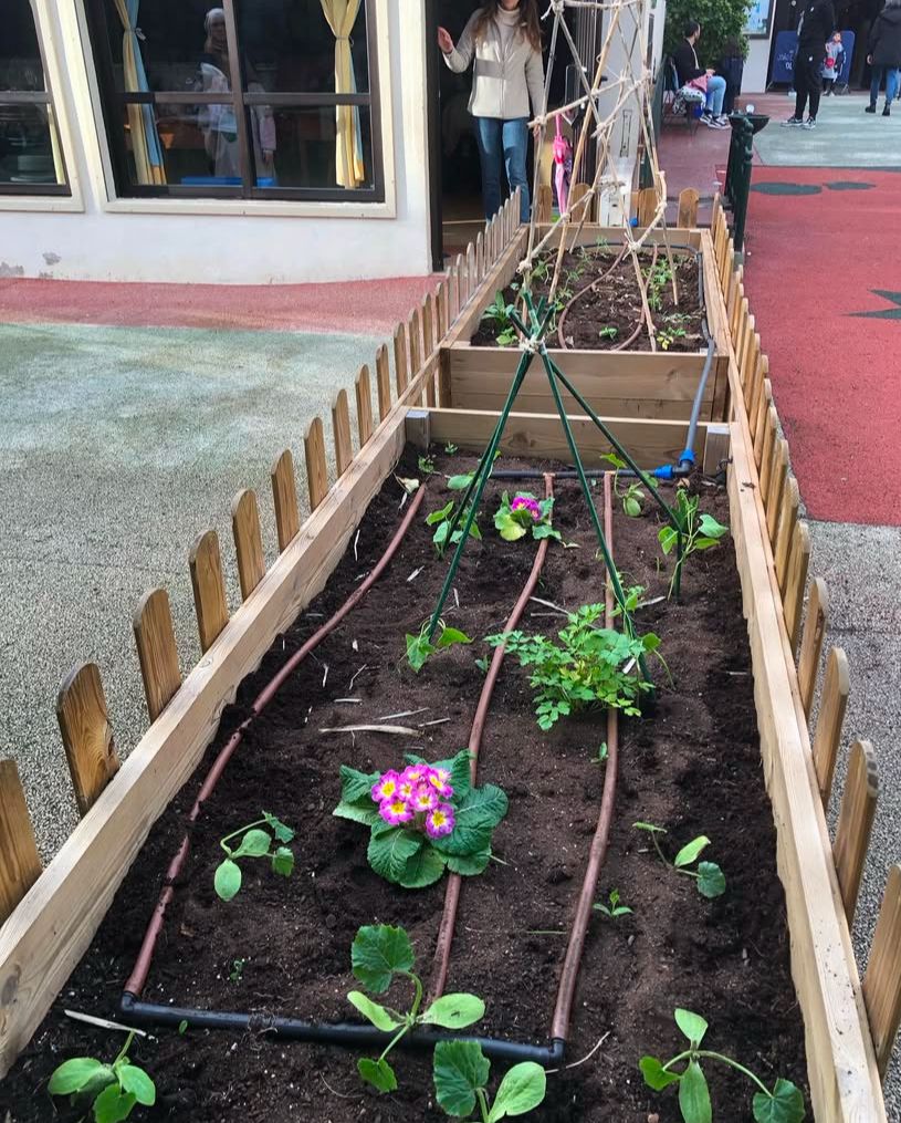 Limpeza da horta e semeio de elementos de primavera -  Horta Finalizada