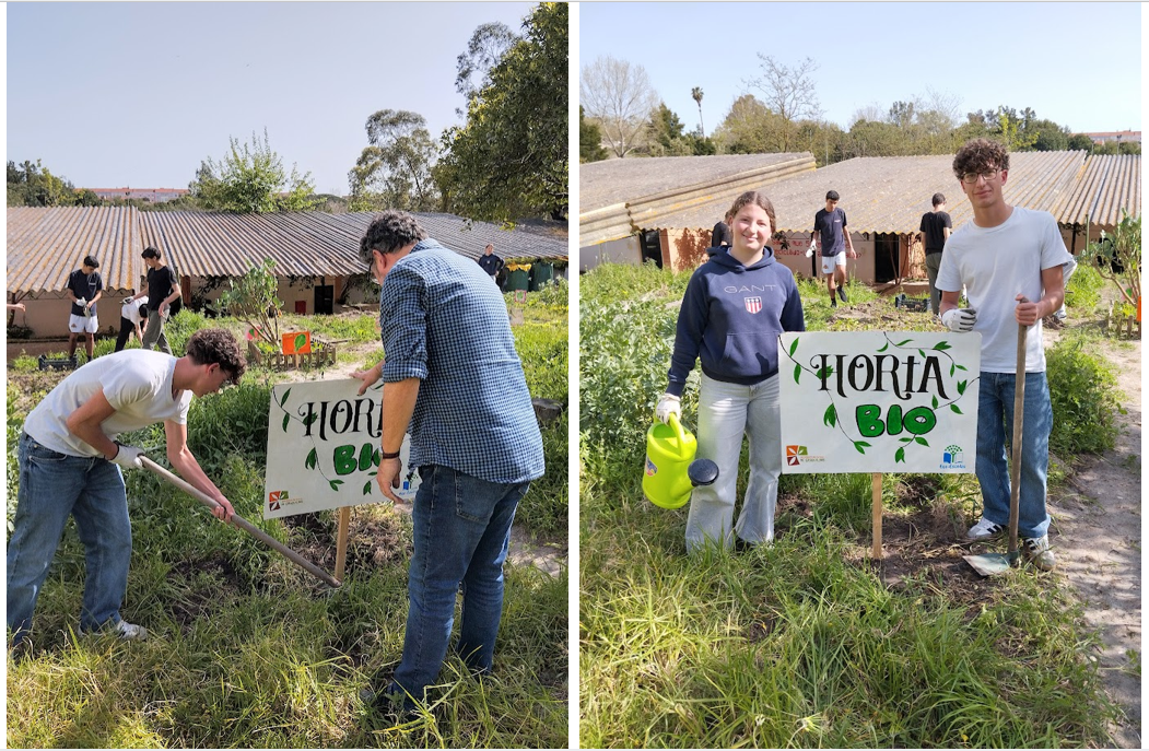 A nossa horta passou a ter uma placa identificadora. Uma vez mais, houve a articulação do projeto com a turma do 12ºE de Artes Visuais e o respetivo professor.