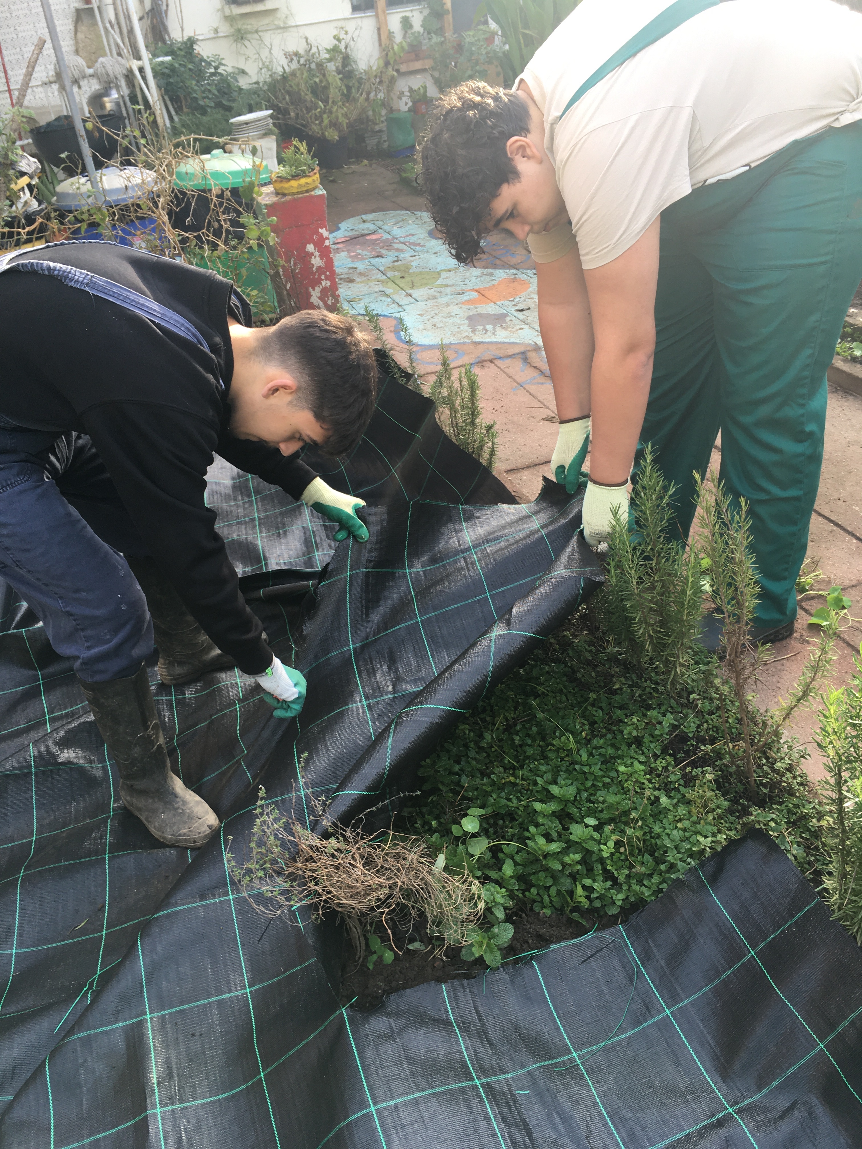 preparação do espaço de plantação