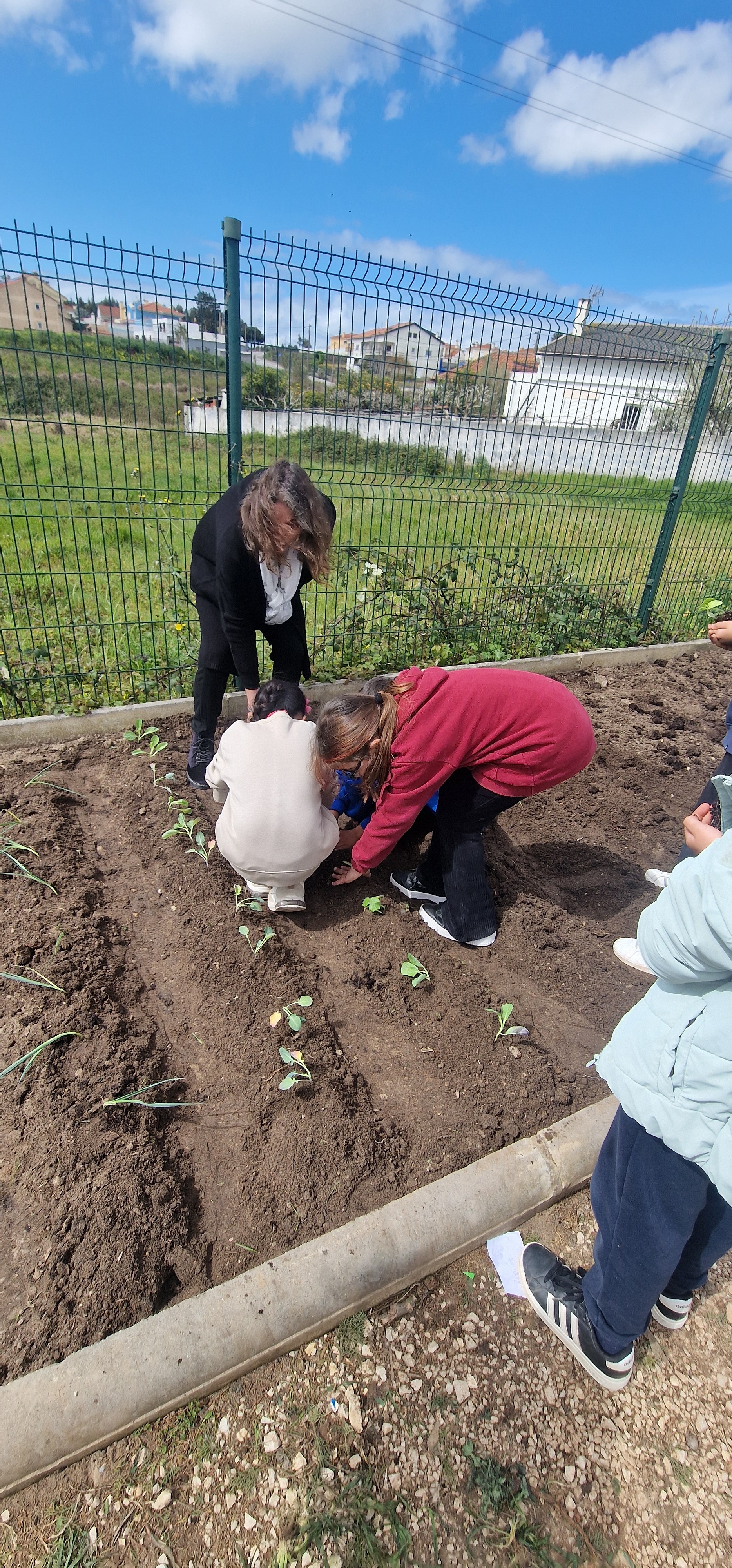 limpeza da horta pelos alunos