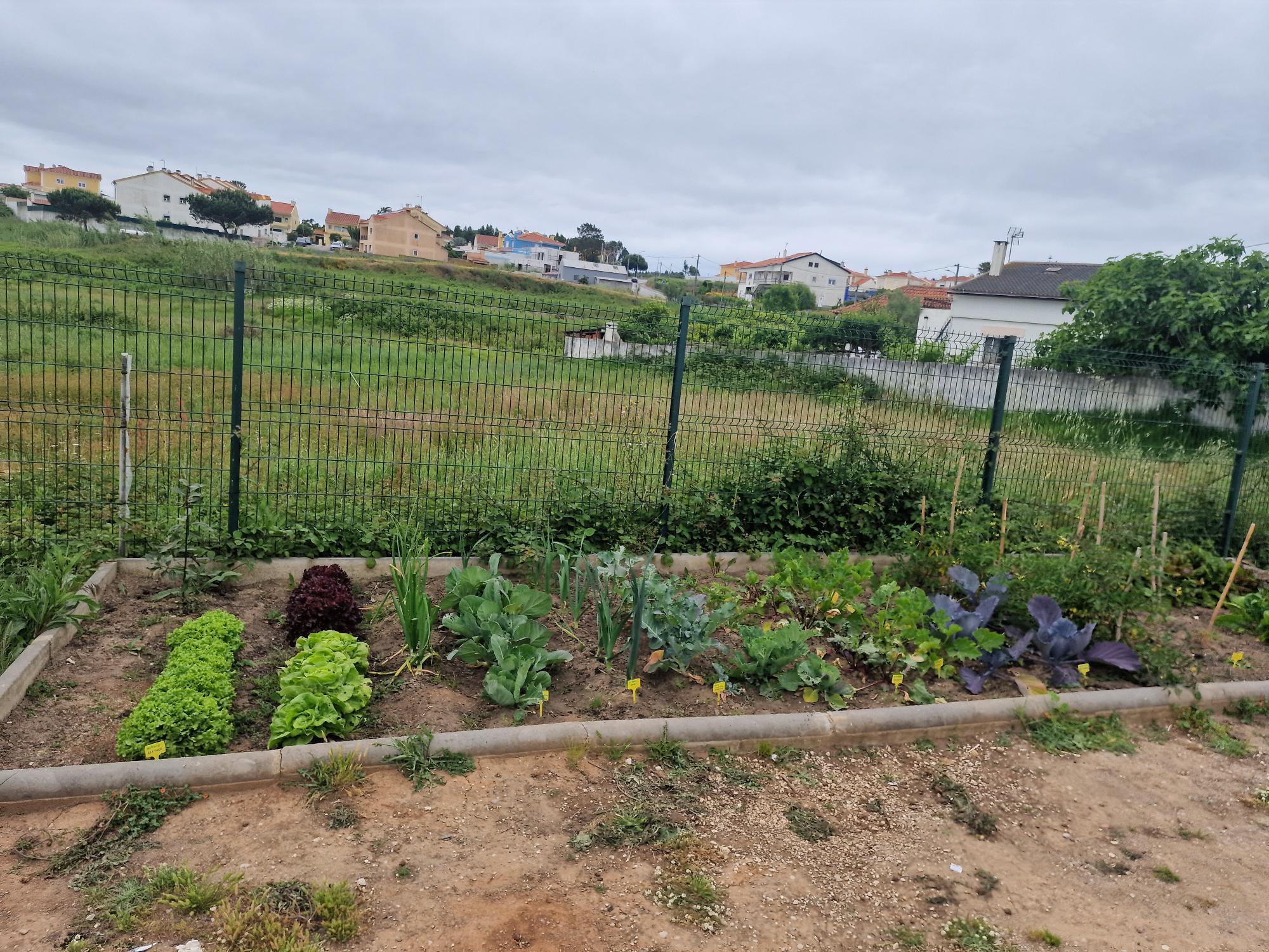 Horta atualmente