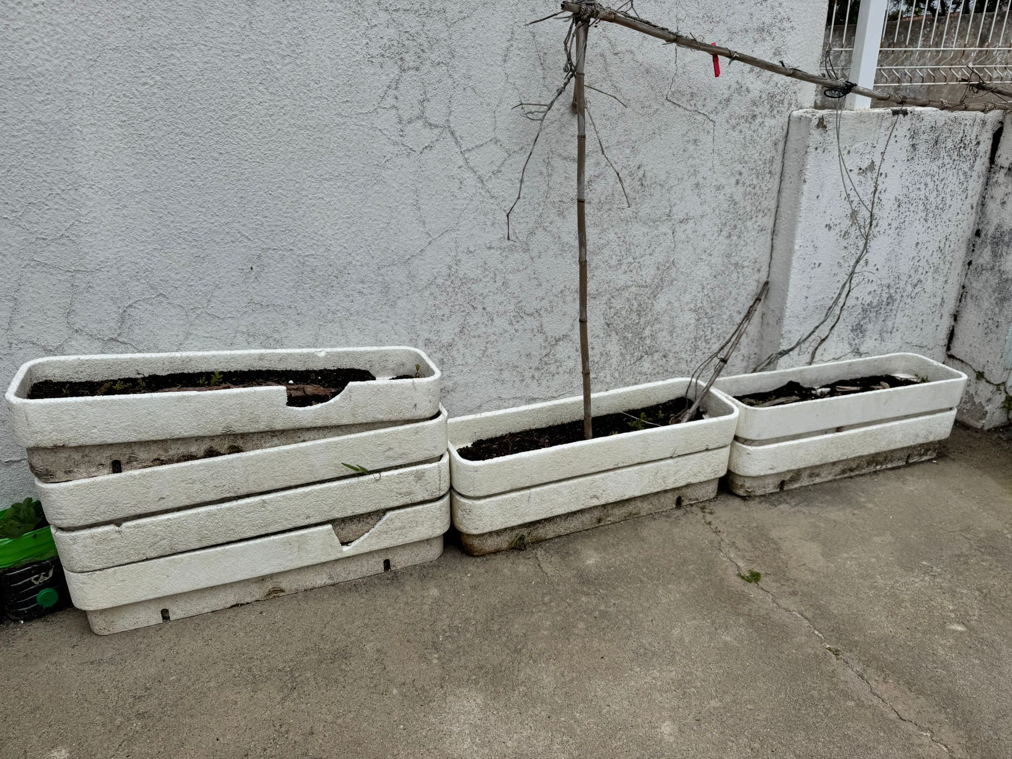 Aspeto dos nossos vasos da horta em janeiro