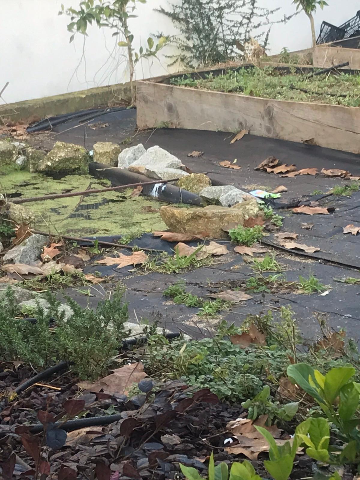 Espaço por organizar em torno do charco