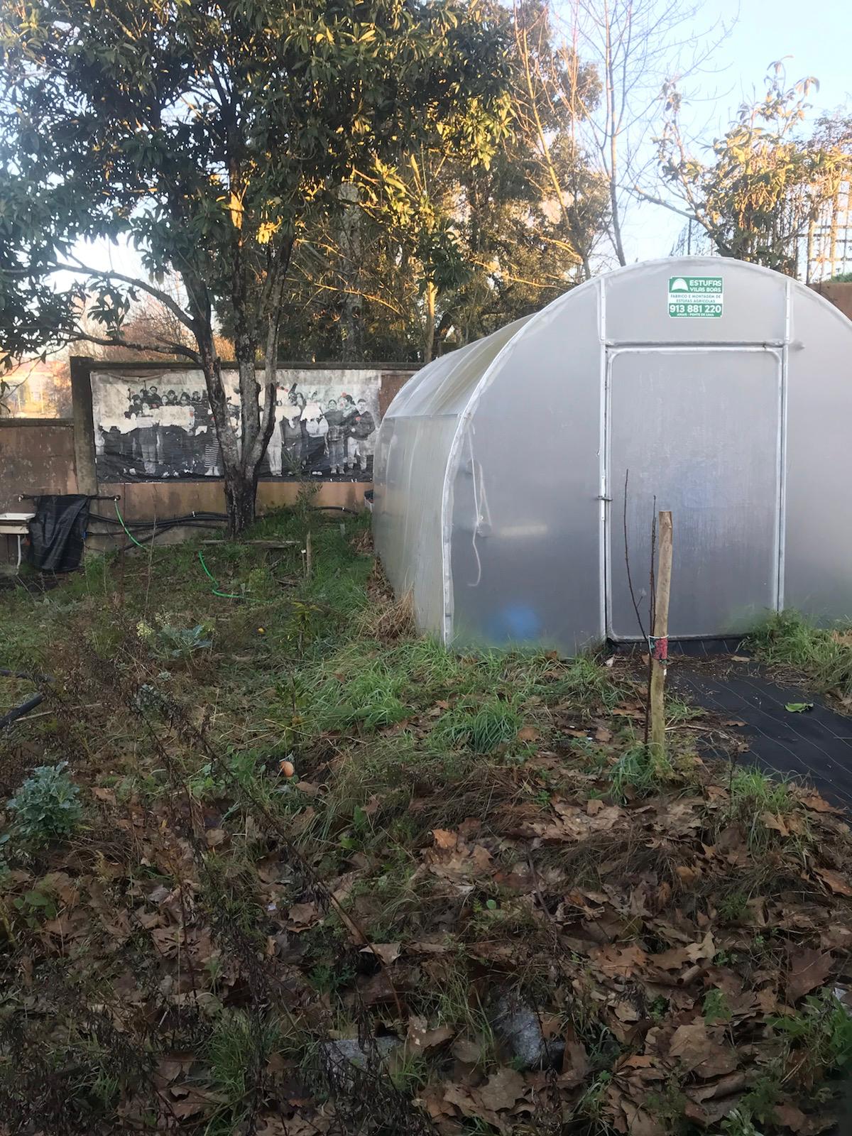 Leira de cima sem organização das plantações