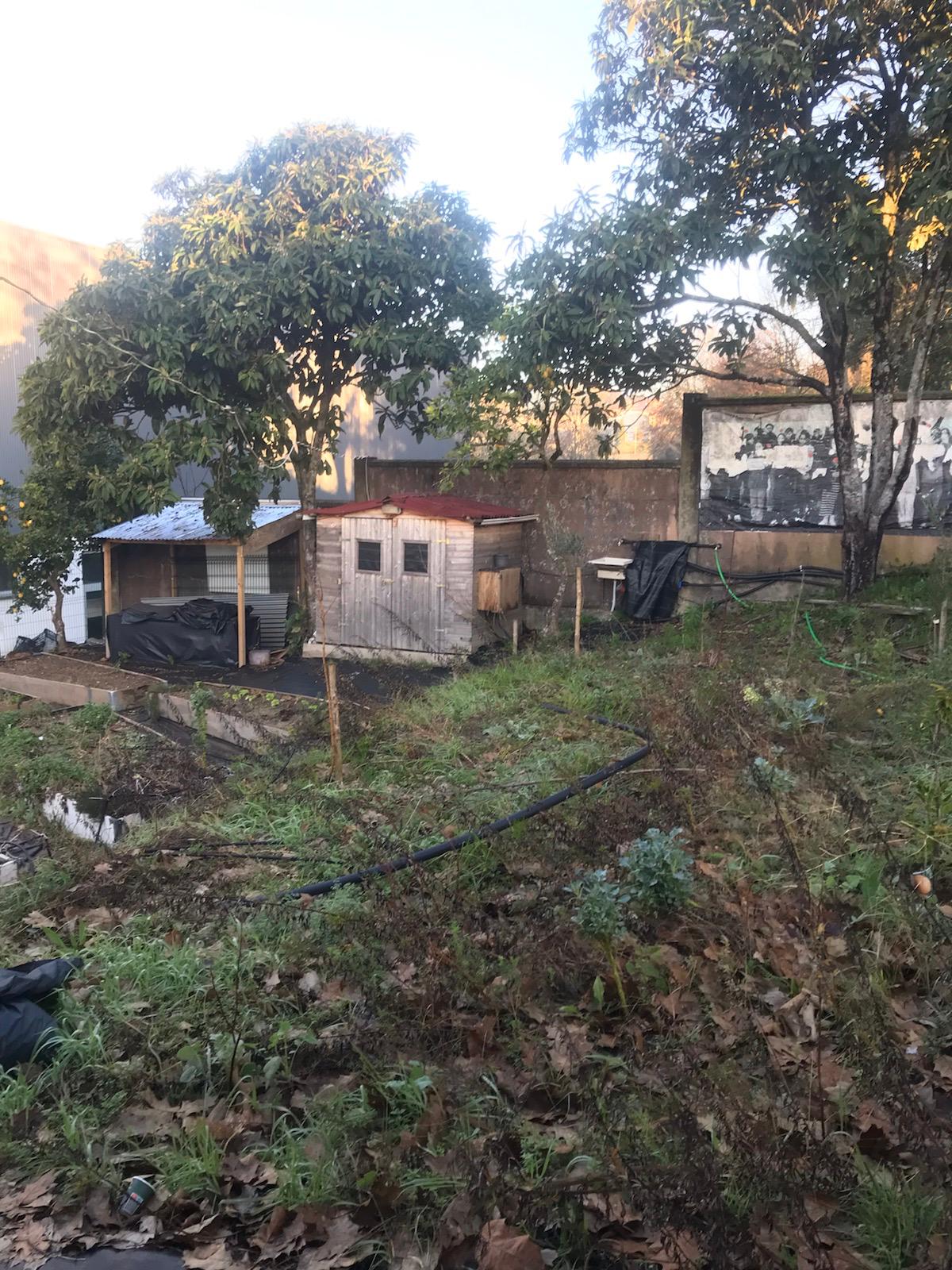Falta de organização no acesso à estufa