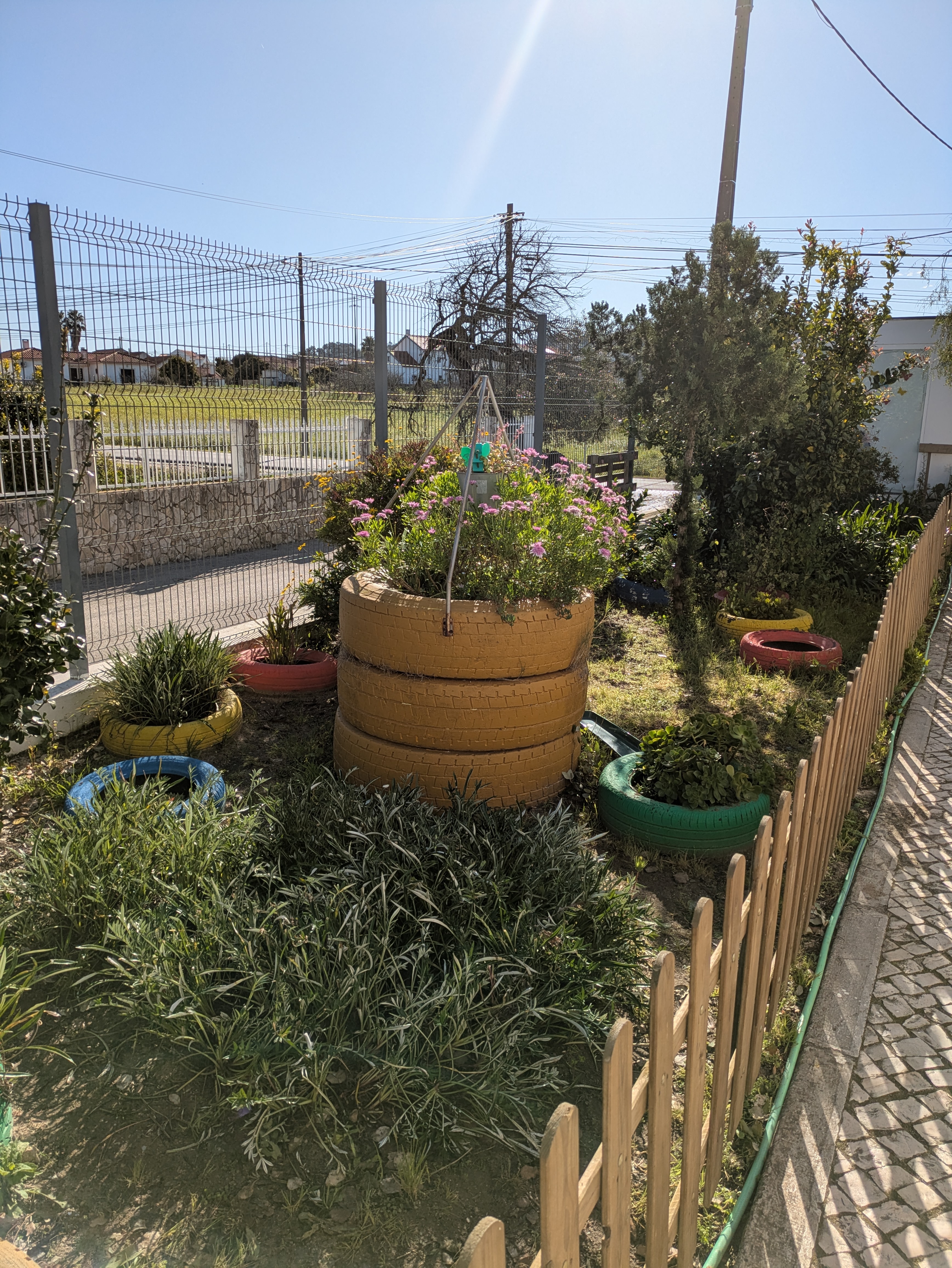 O espaço onde vai ser cultivada a horta