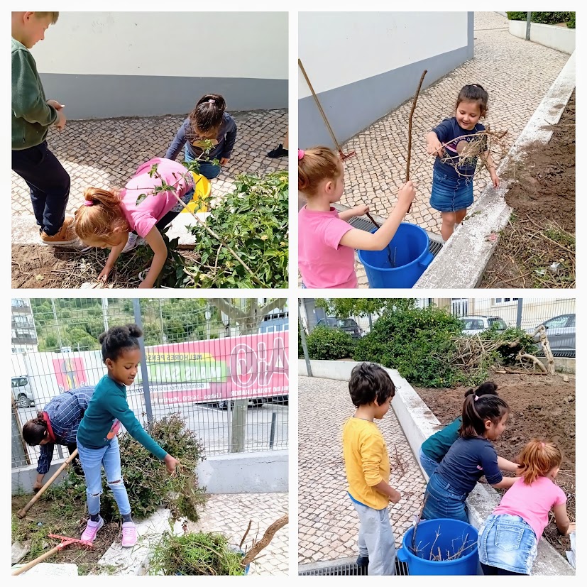 A limpeza e a preparação do espaço que a horta vai ocupar...foi o 1º passo...Alunos e educadoras e assistentes das duas salas prepararam e limparam todo o espaço.