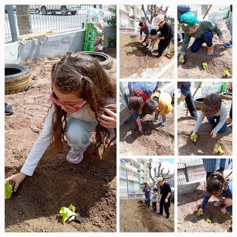 Após a limpeza segui-se a plantação de algumas plantinhas logo na horta...alfaces, beterrabas, tomatinhos, ...