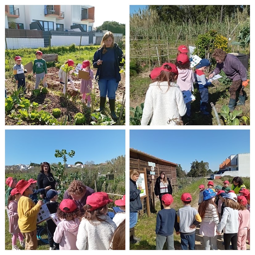 Visita dos alunos do pré escolar às hortas comunitárias em Sampaio...